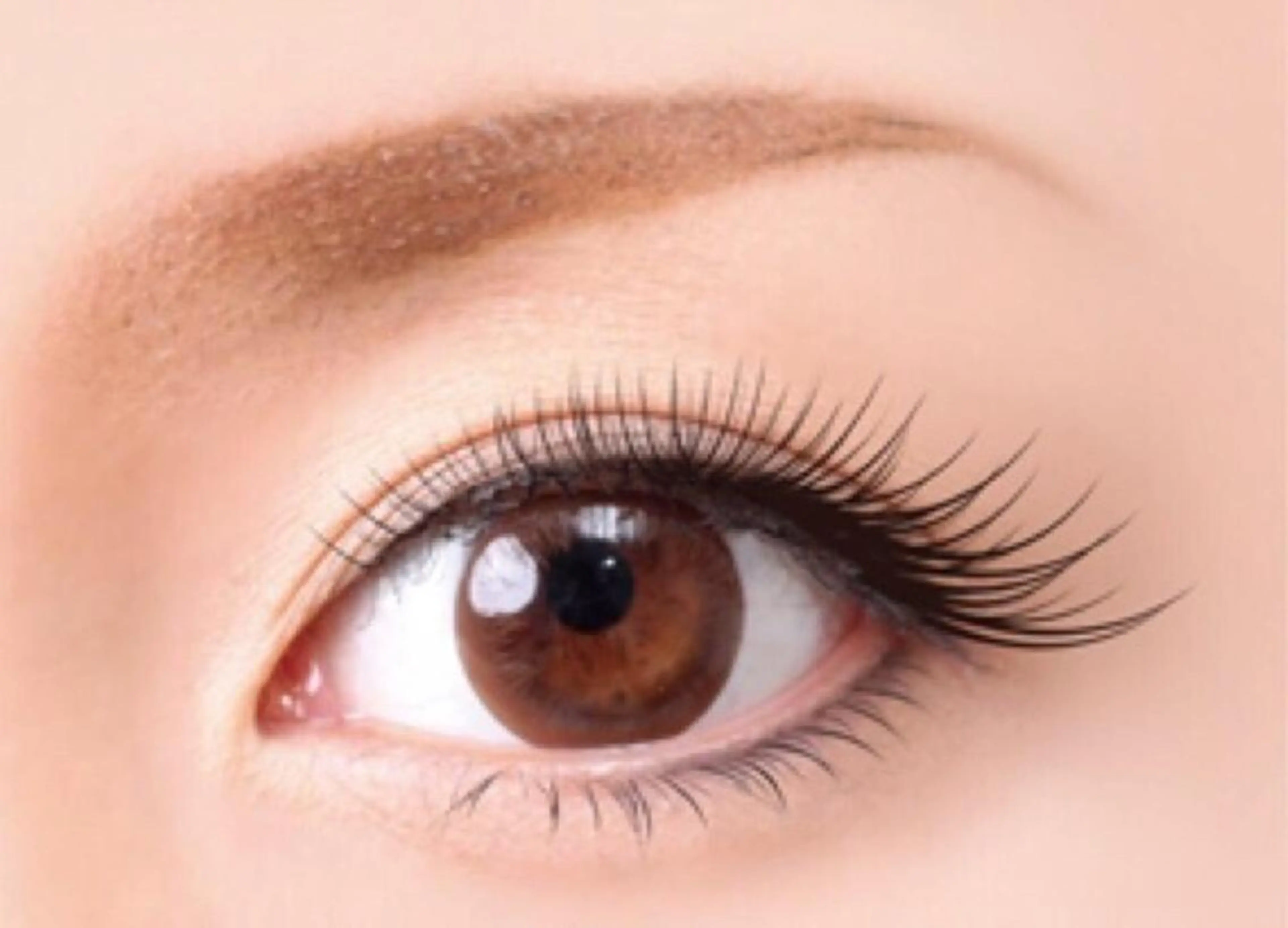 🫧 シングルラッシュ100本 [off込み]の写真