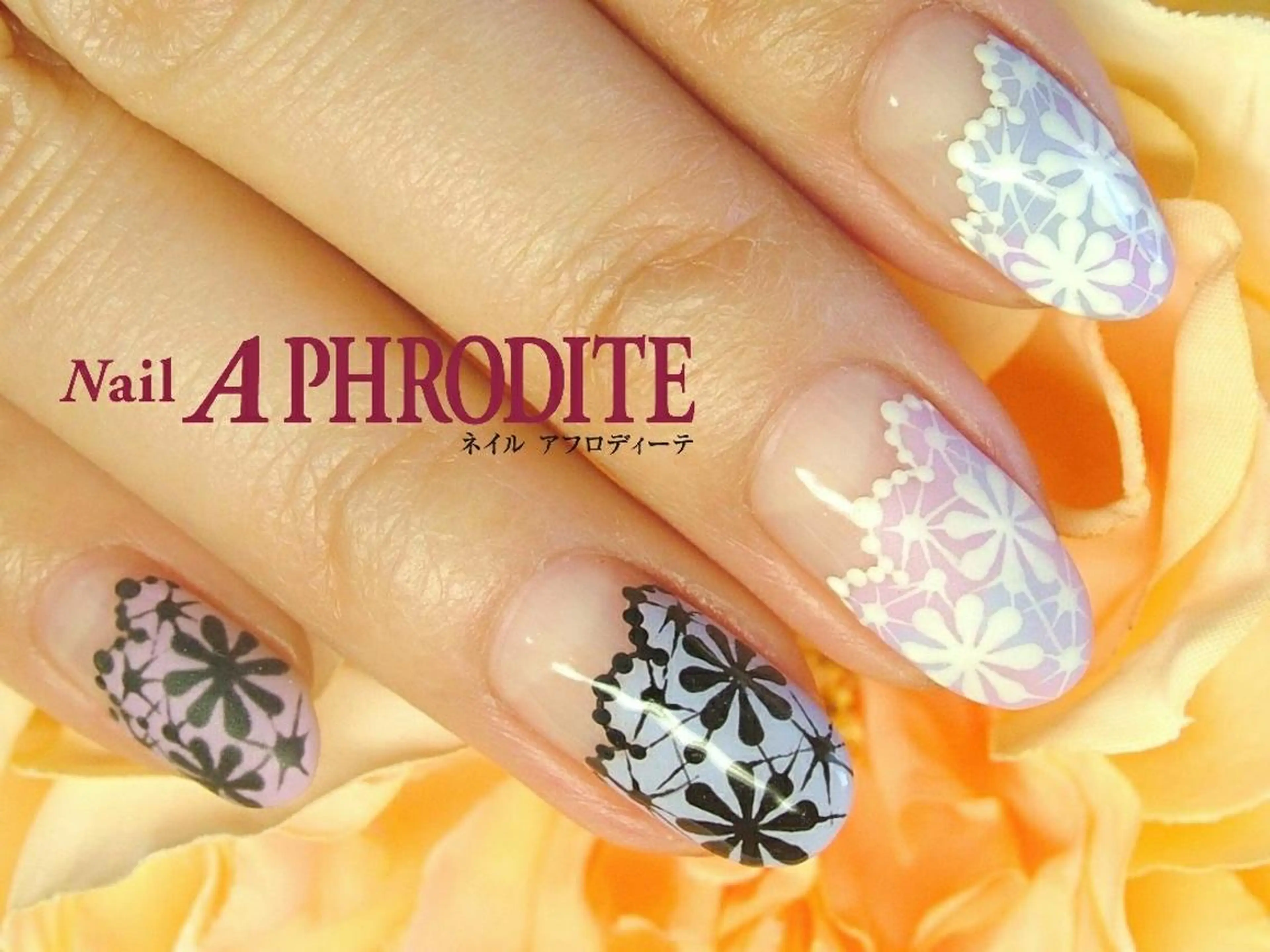 ネイル レース Nail  Aphroditeのネイルデザイン