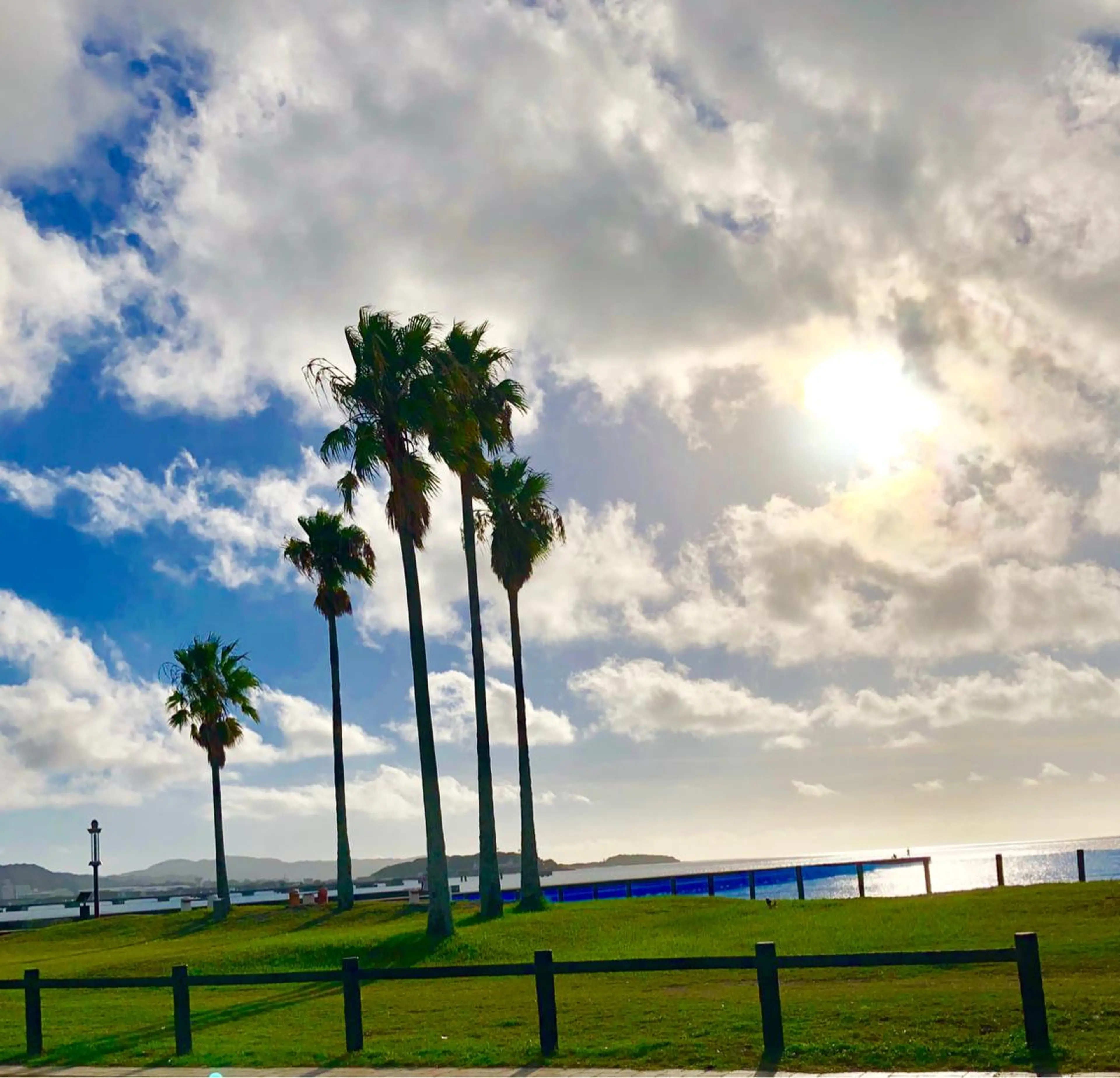 フェアリーテイル所属・吉田 典弘のヘアスタイル