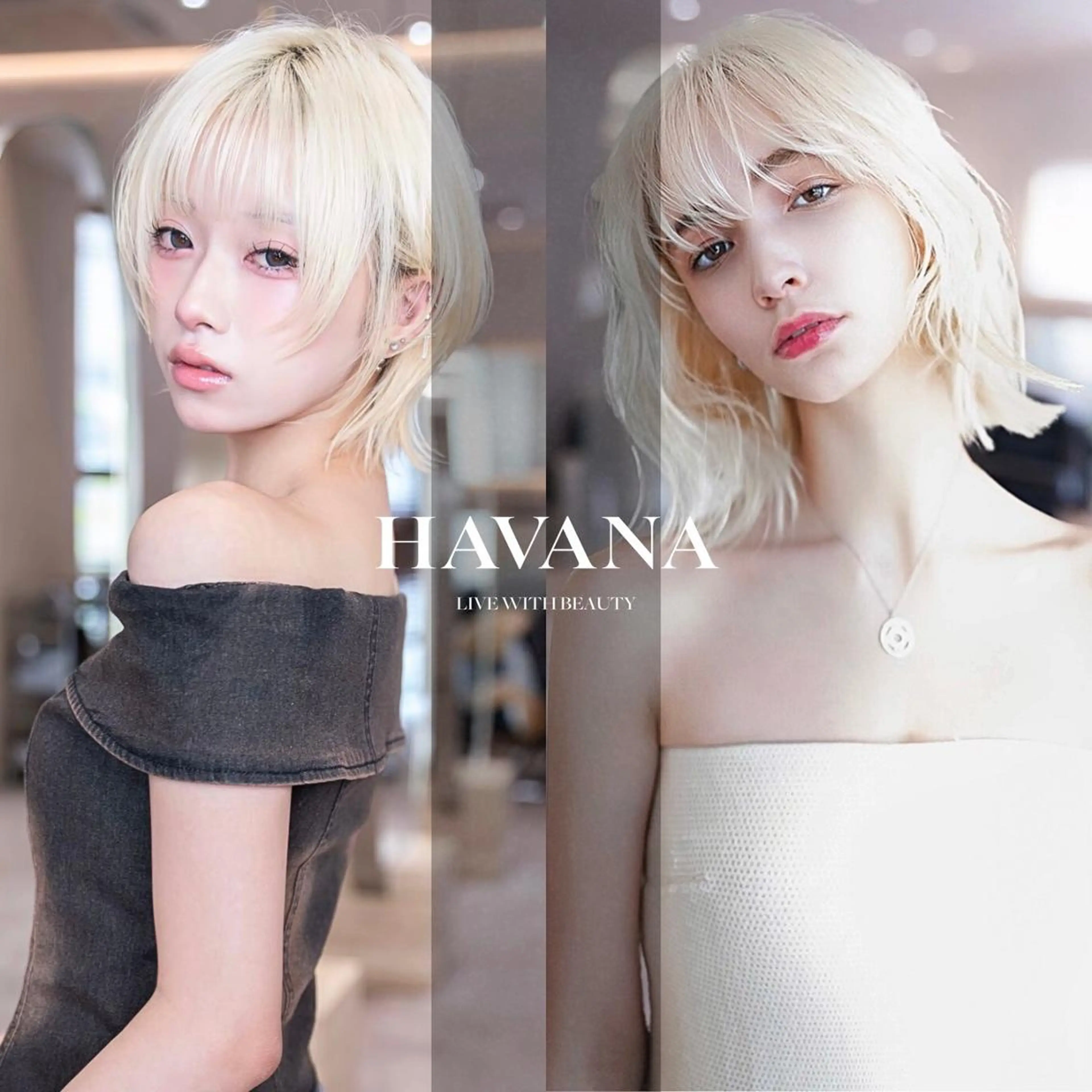 カラー ショート ヘアカラー トリートメント １HAVANA.渋谷 【レイヤー/韓国】のヘアスタイル