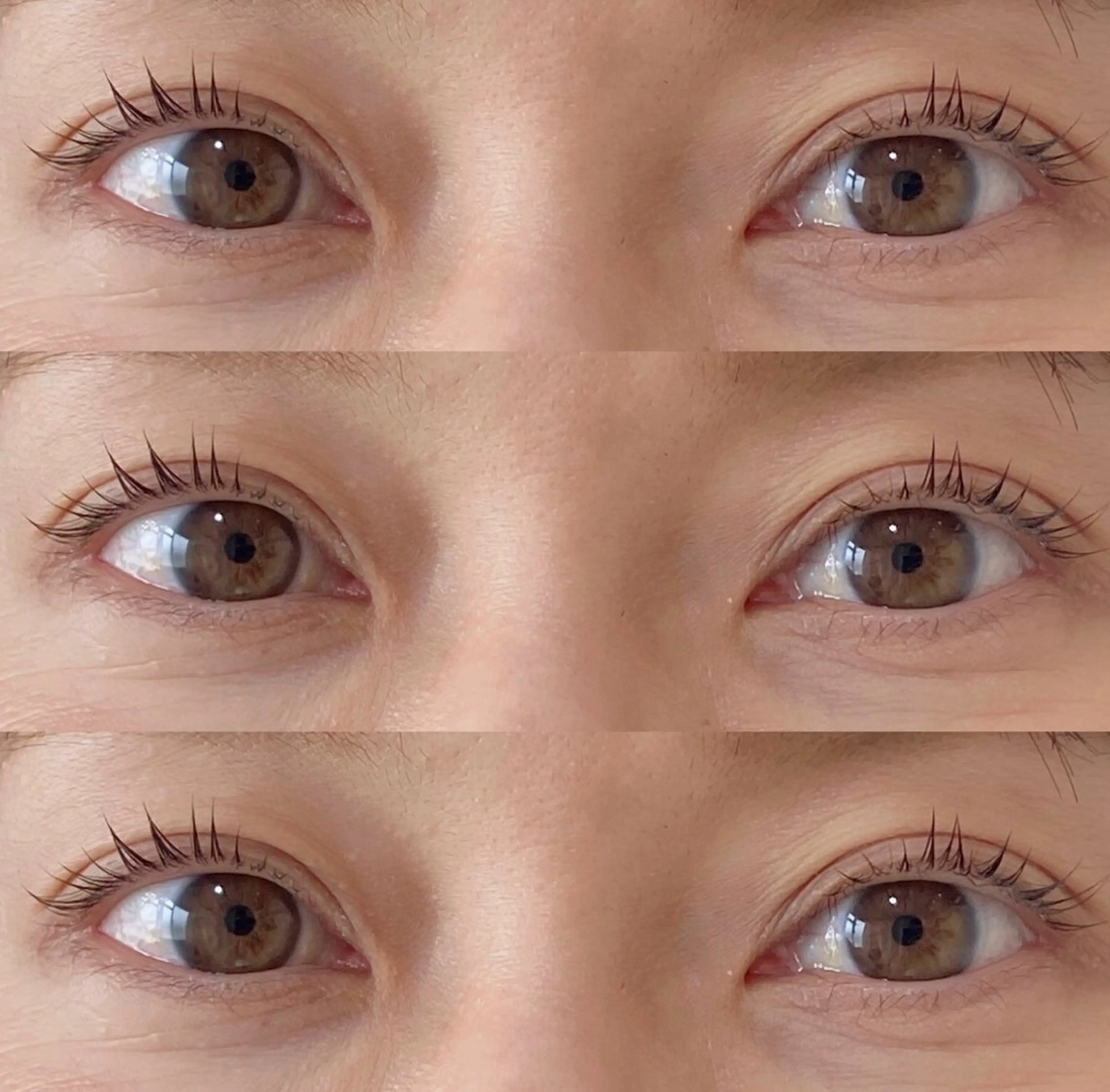 マツエク・マツパ マツパ 束感まつげ/パリエク 🧸sakuraのマツエク・マツパデザイン