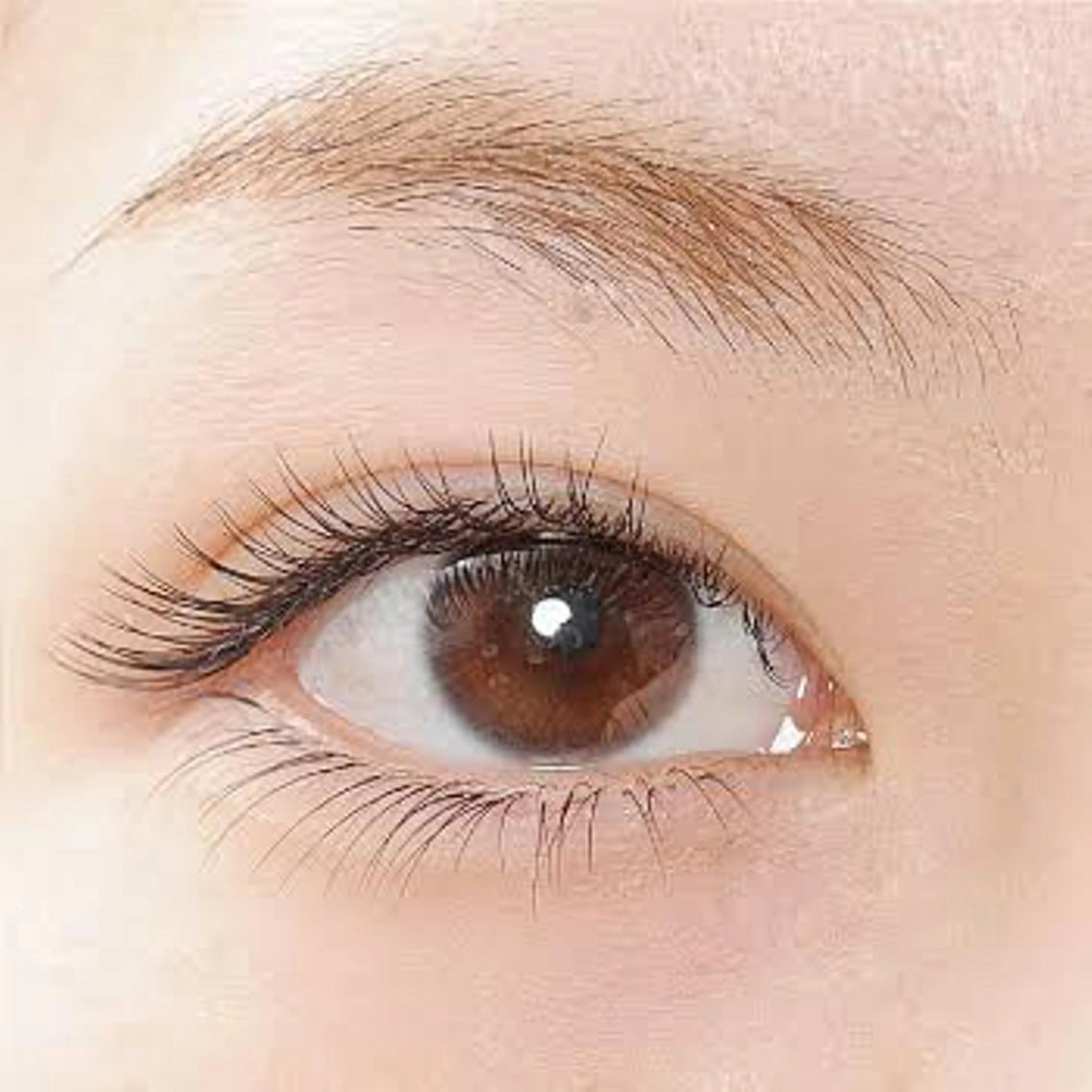 マツエク(フラットラッシュ)６０本の写真