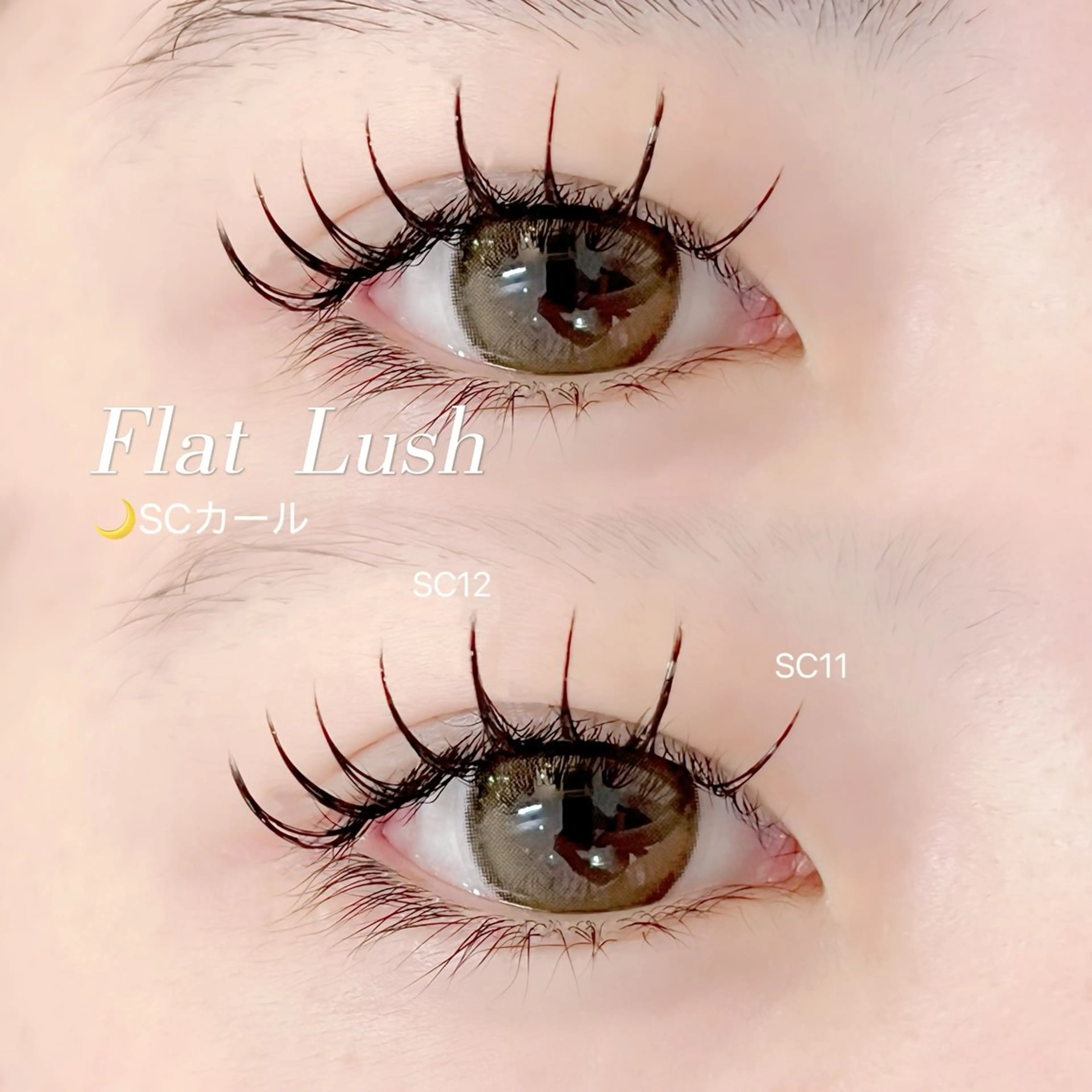 マツエク・マツパ まつ毛エクステモデル SHOKO🎀のマツエク・マツパデザイン