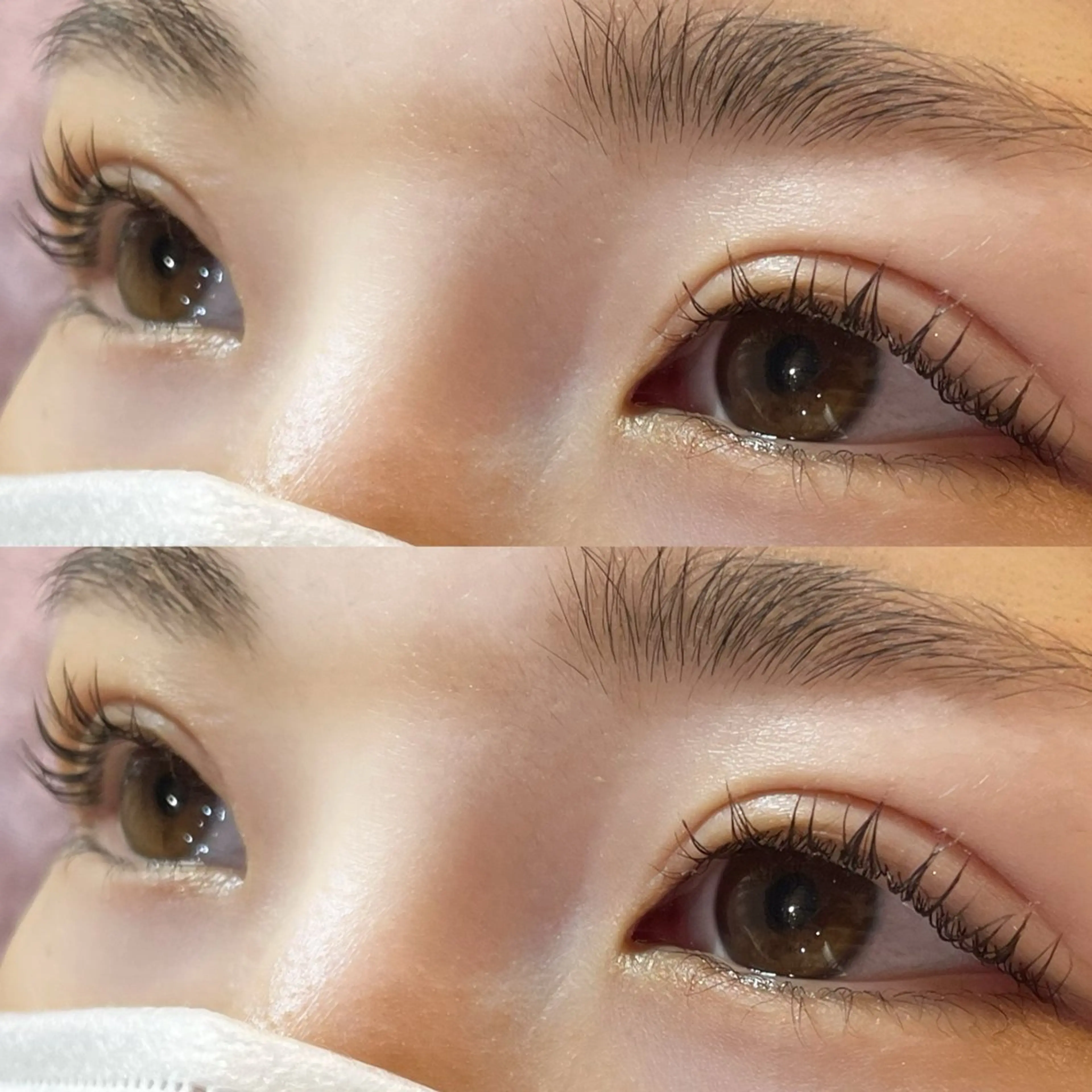 🦋パリジェンヌラッシュリフト🦋【コーティング込︎💕︎】の写真