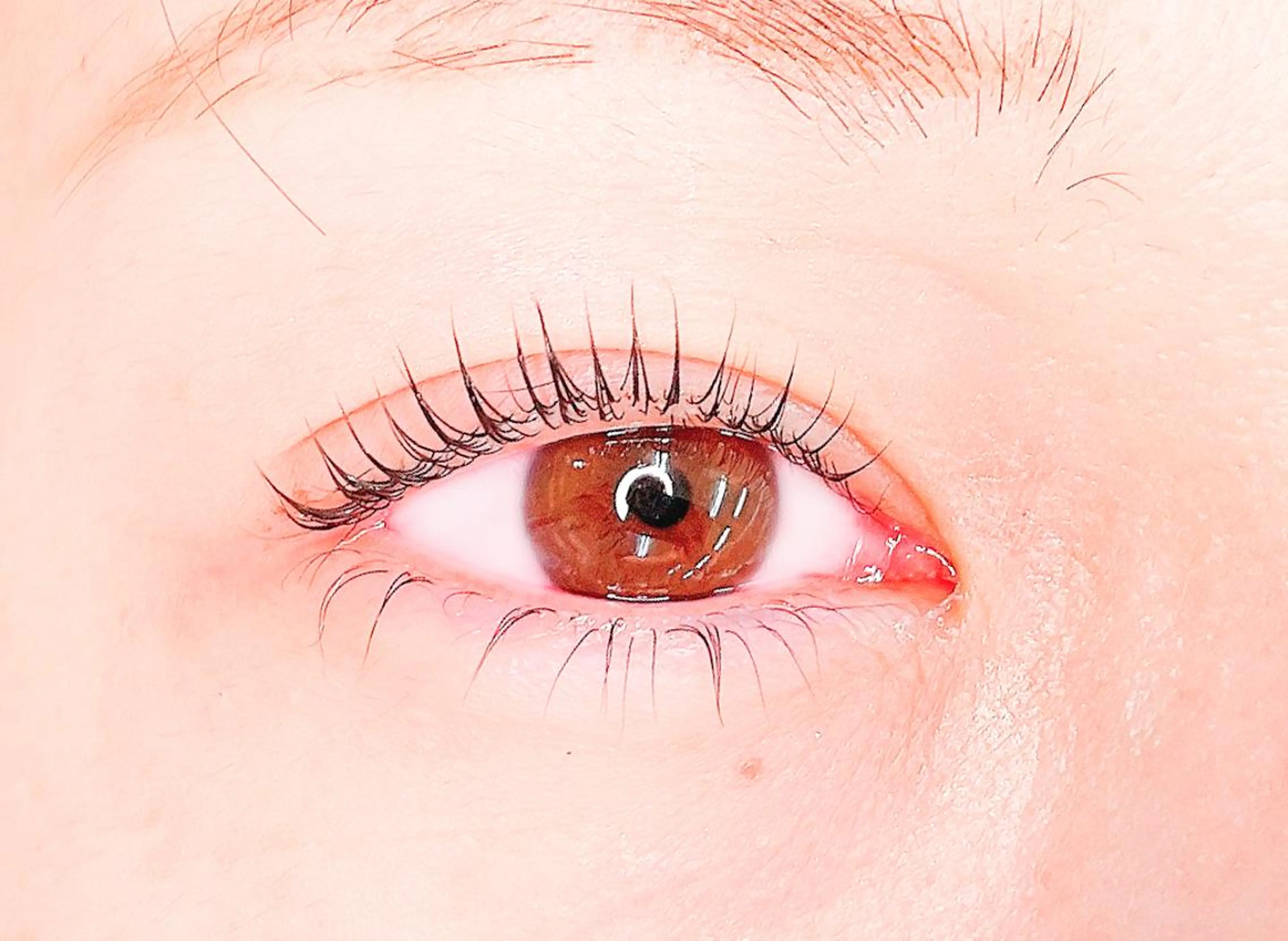 上下セットラッシュリフト(次世代まつ毛パーマ)濃ケラチントリートメント＋コーティング仕上げ付きの写真