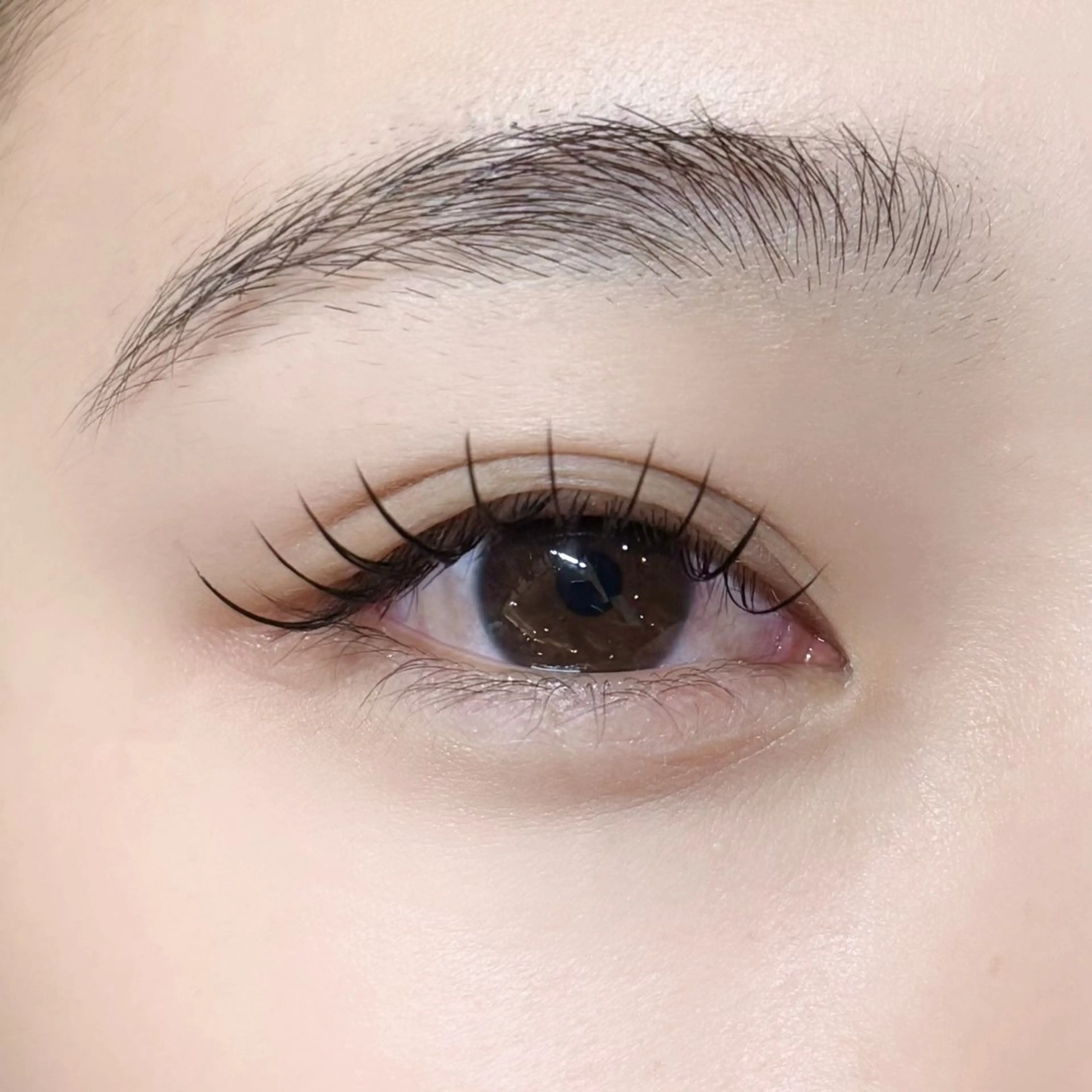 マツエク・マツパ JilL所属・JilL姪浜 ayameの眉毛・アイブロウイメージ