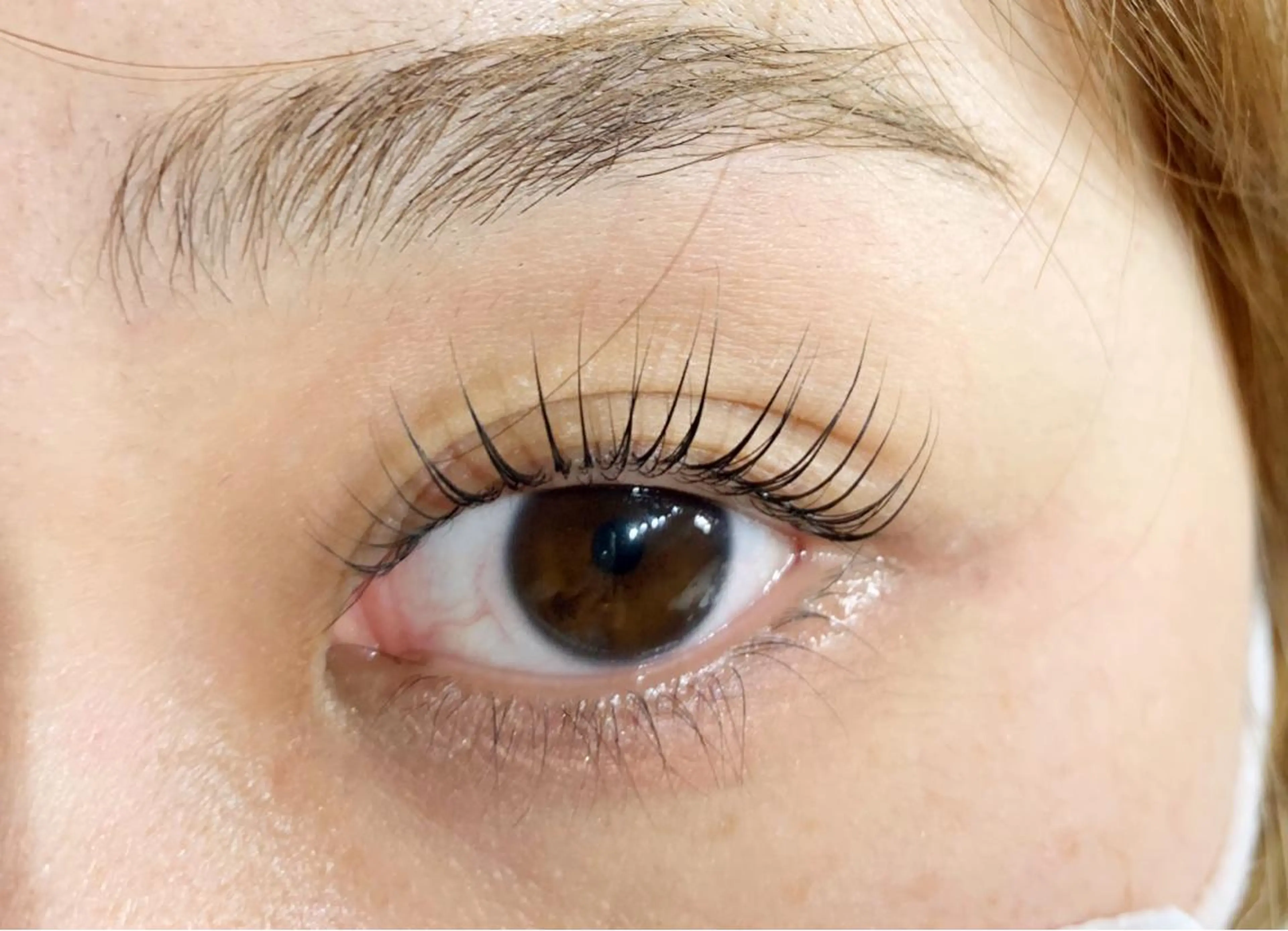 マツエク・マツパ 一重×まつ毛パーマ 上野 飛鳥のマツエク・マツパデザイン