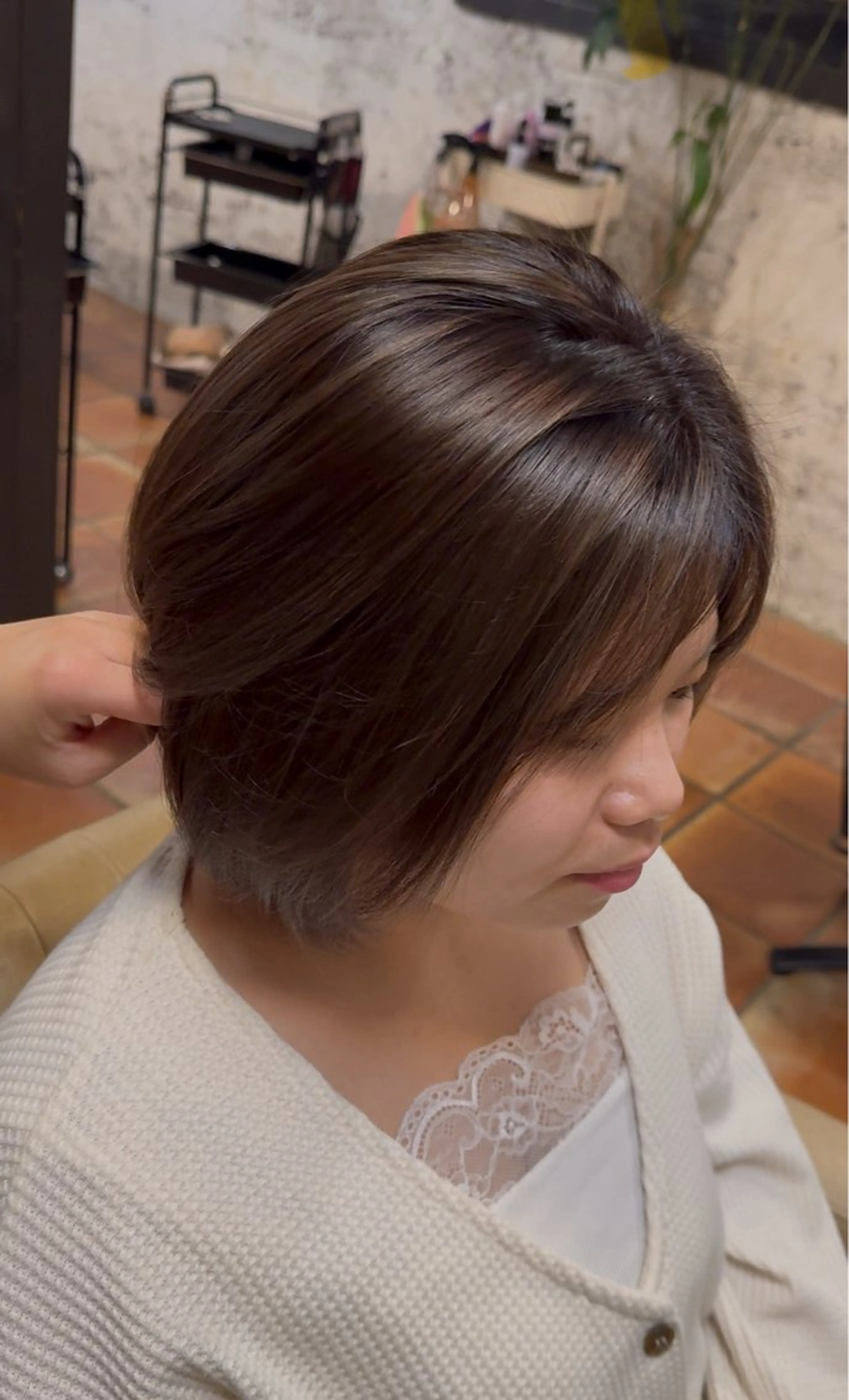 ハイライトの写真