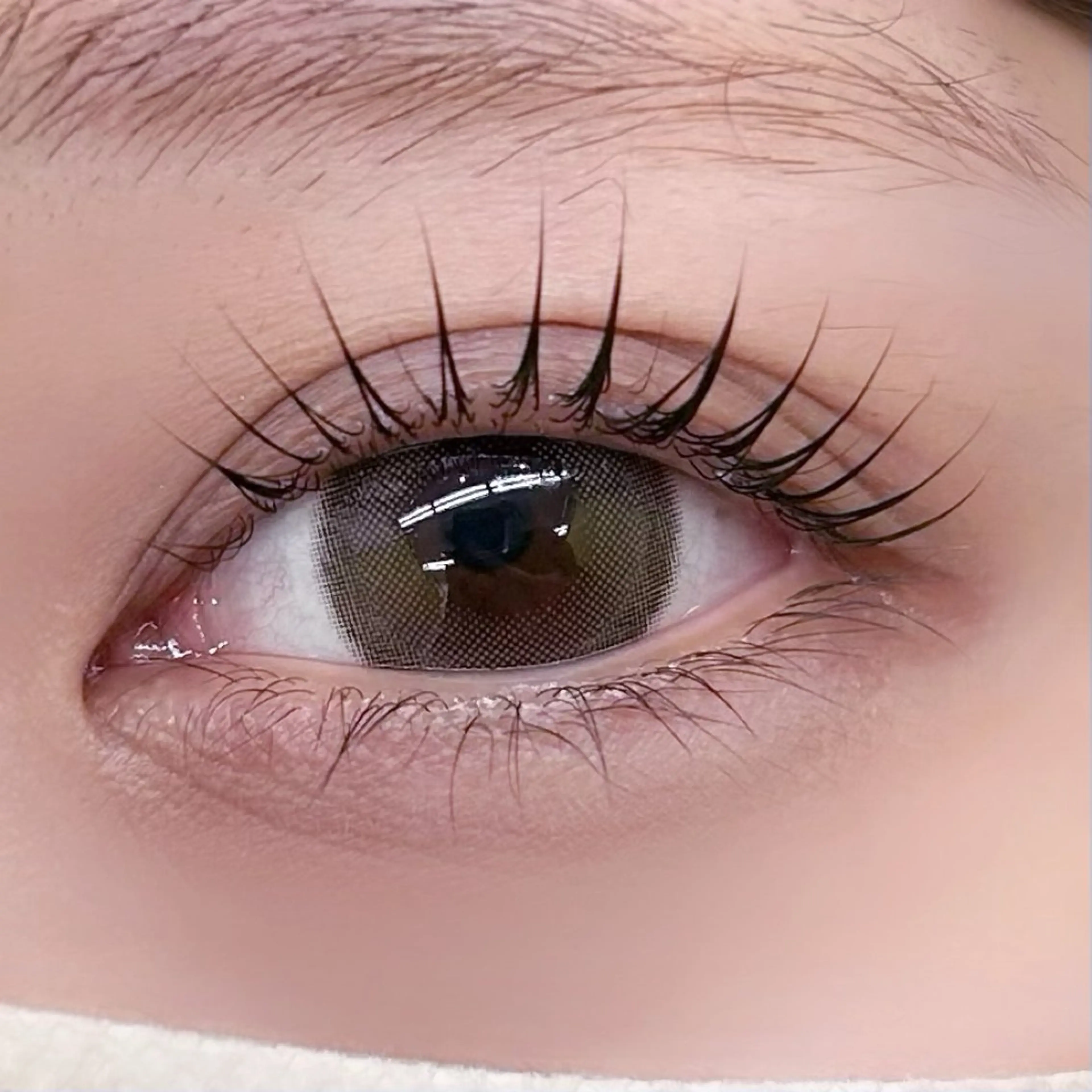 🪷新規様限定🪷 《上まつげパーマ》束感仕上げ付き✩の写真