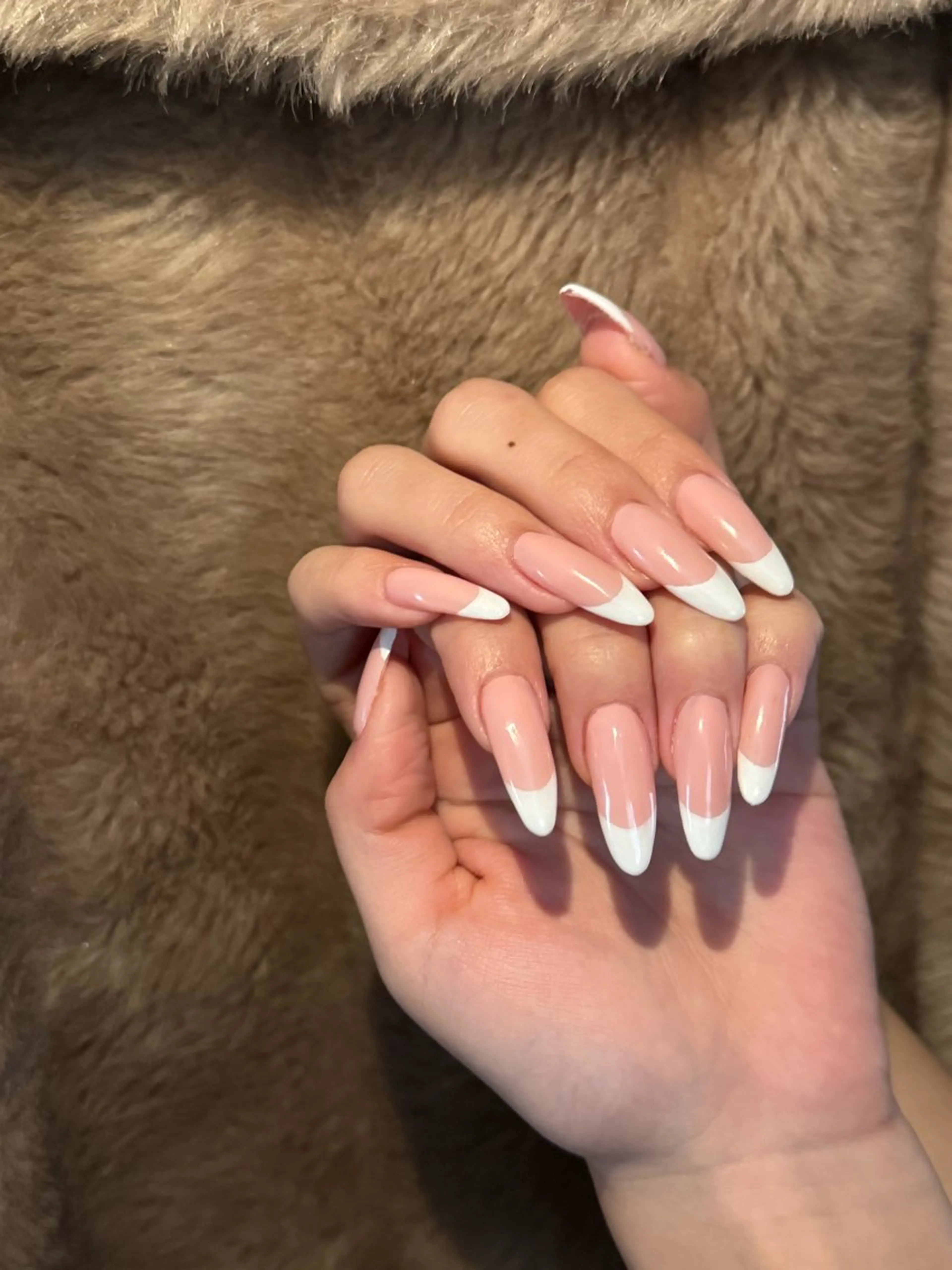 ⚜️フレンチコース⚜️の写真