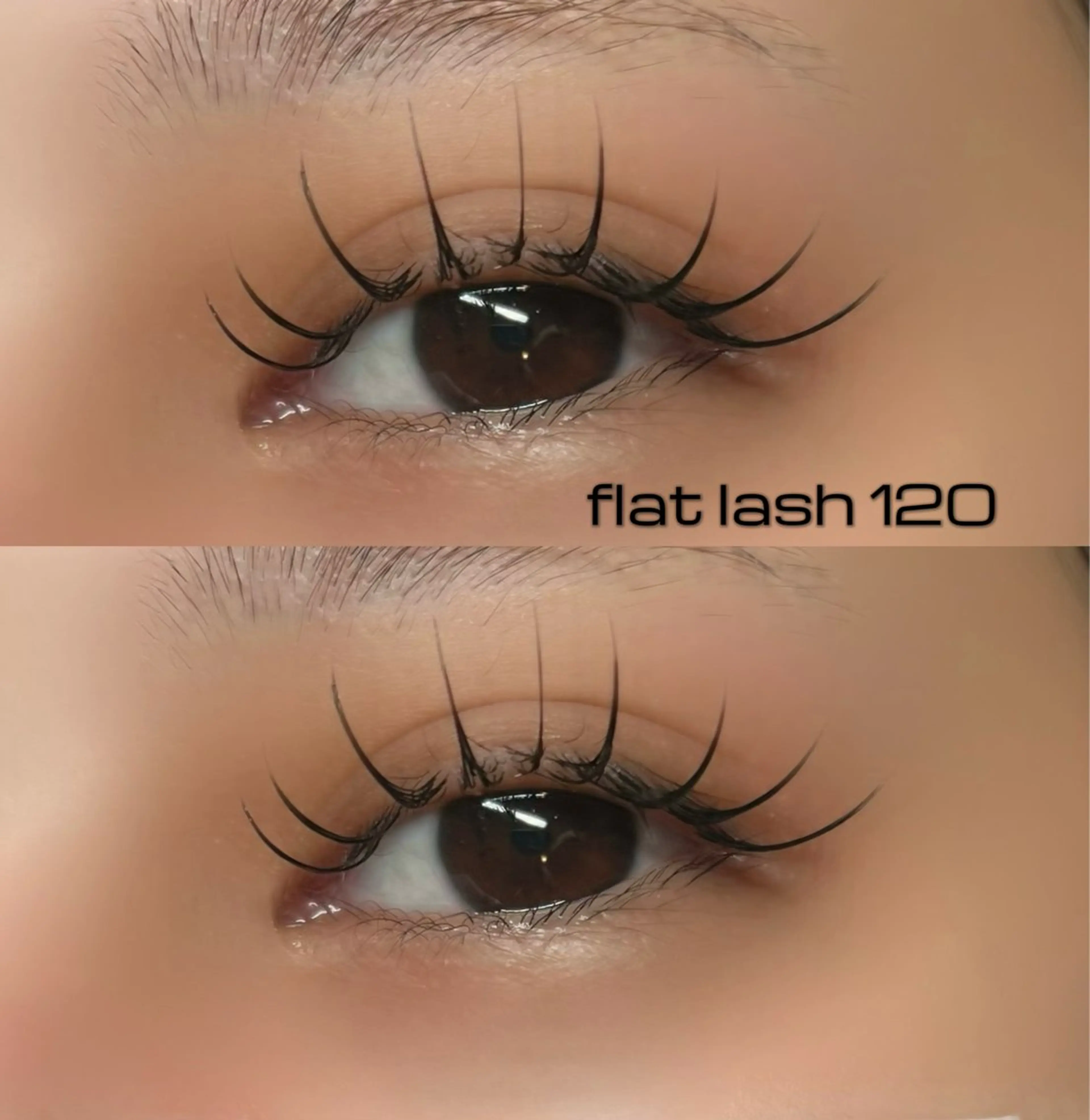 1月中ご来店　フラットラッシュ120⭐️の写真