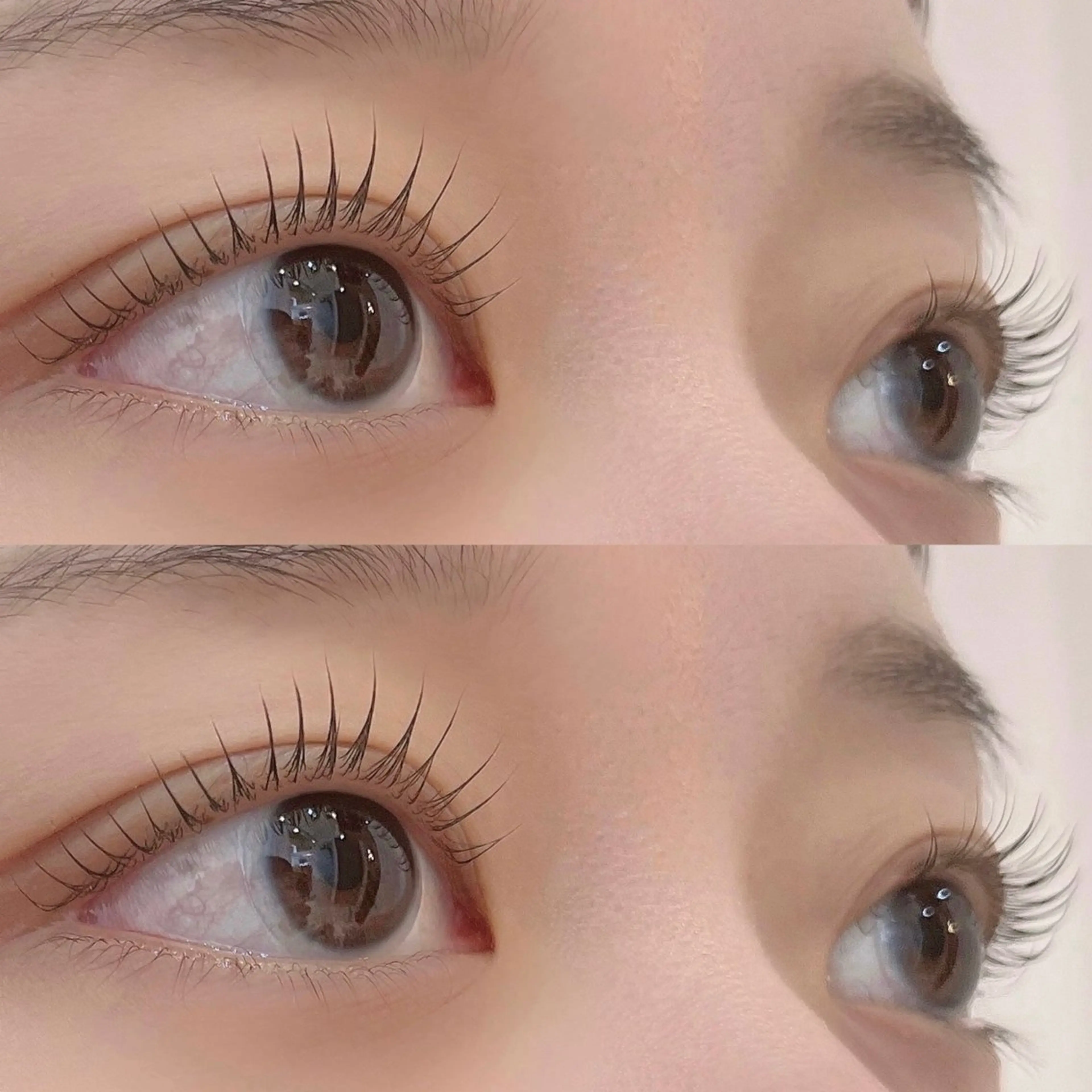 次世代まつ毛パーマ➕トリートメント＆コーティング🌸の写真