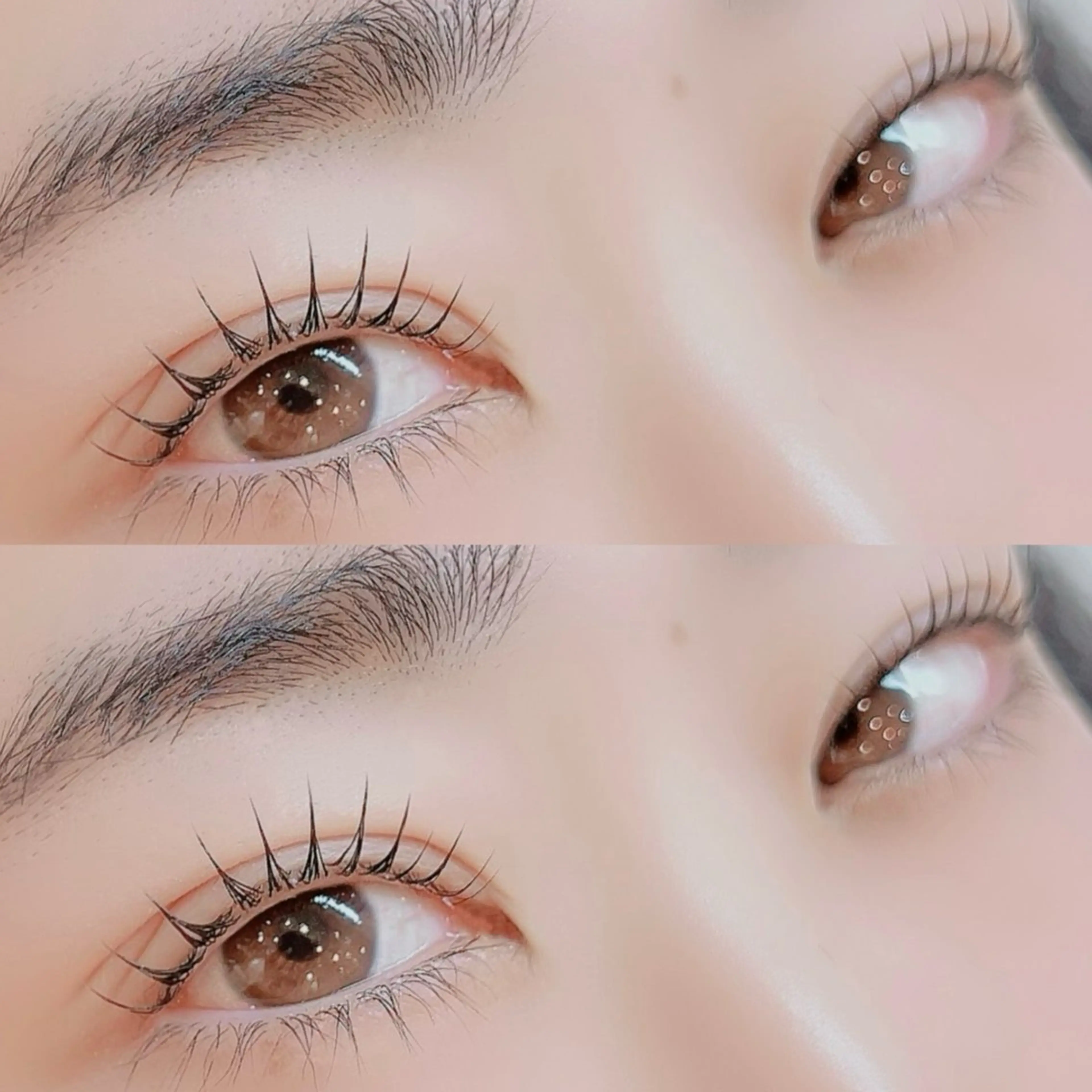 マツエク・マツパ マツパ Luxe ···▸﻿ Seike🐈‍⬛⸒の眉毛・アイブロウイメージ