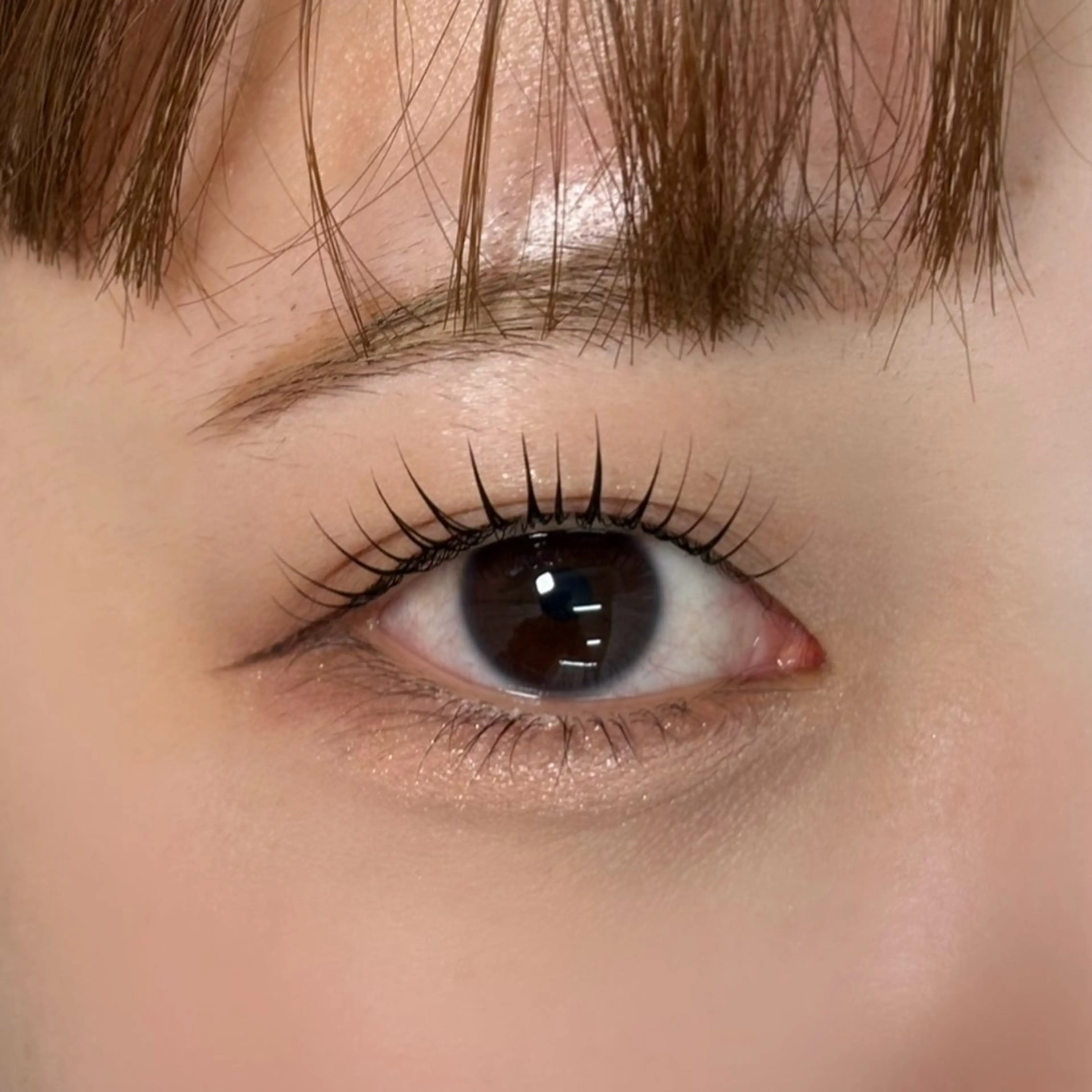 【学割】ラッシュリフト+コーティング仕上げの写真