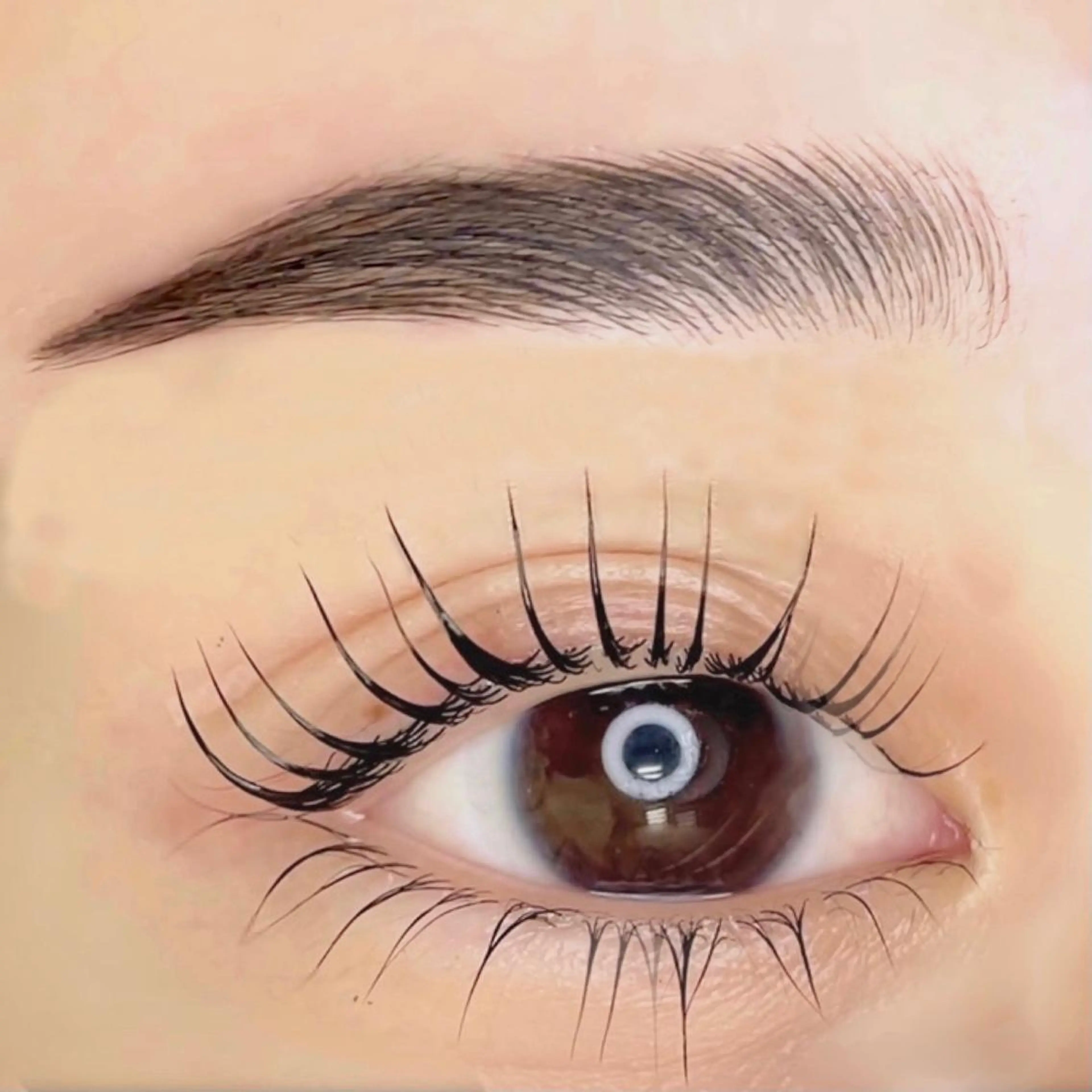 【最強set】🖤⚡️《パリジェンヌ上下+ハリウッドブロウリフト》【眉wax脱毛付き】の写真