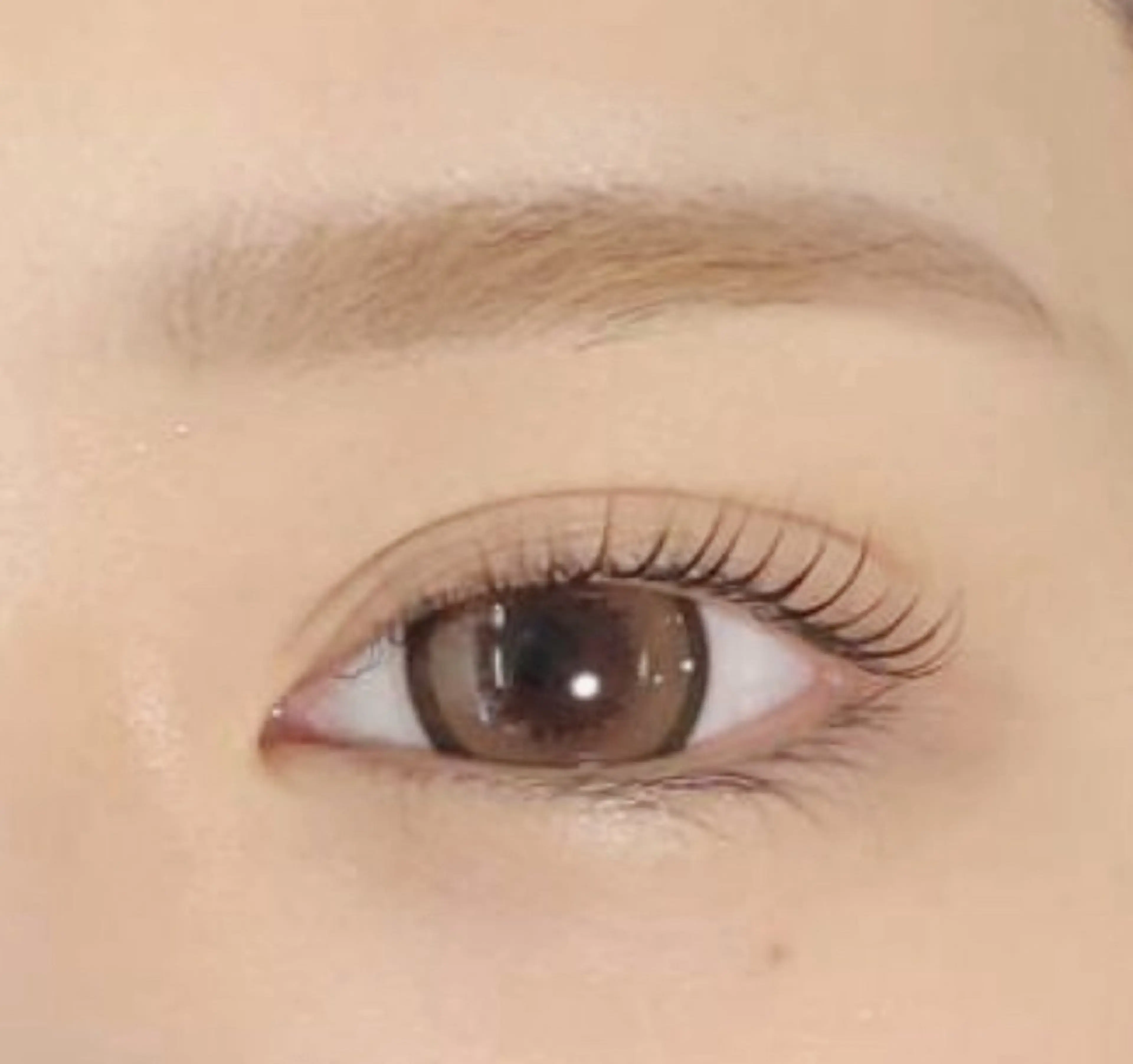 マツエク・マツパ ナチュラル 一重×まつ毛パーマ Dazzle beauty所属・Dazzle あいりのマツエク・マツパデザイン