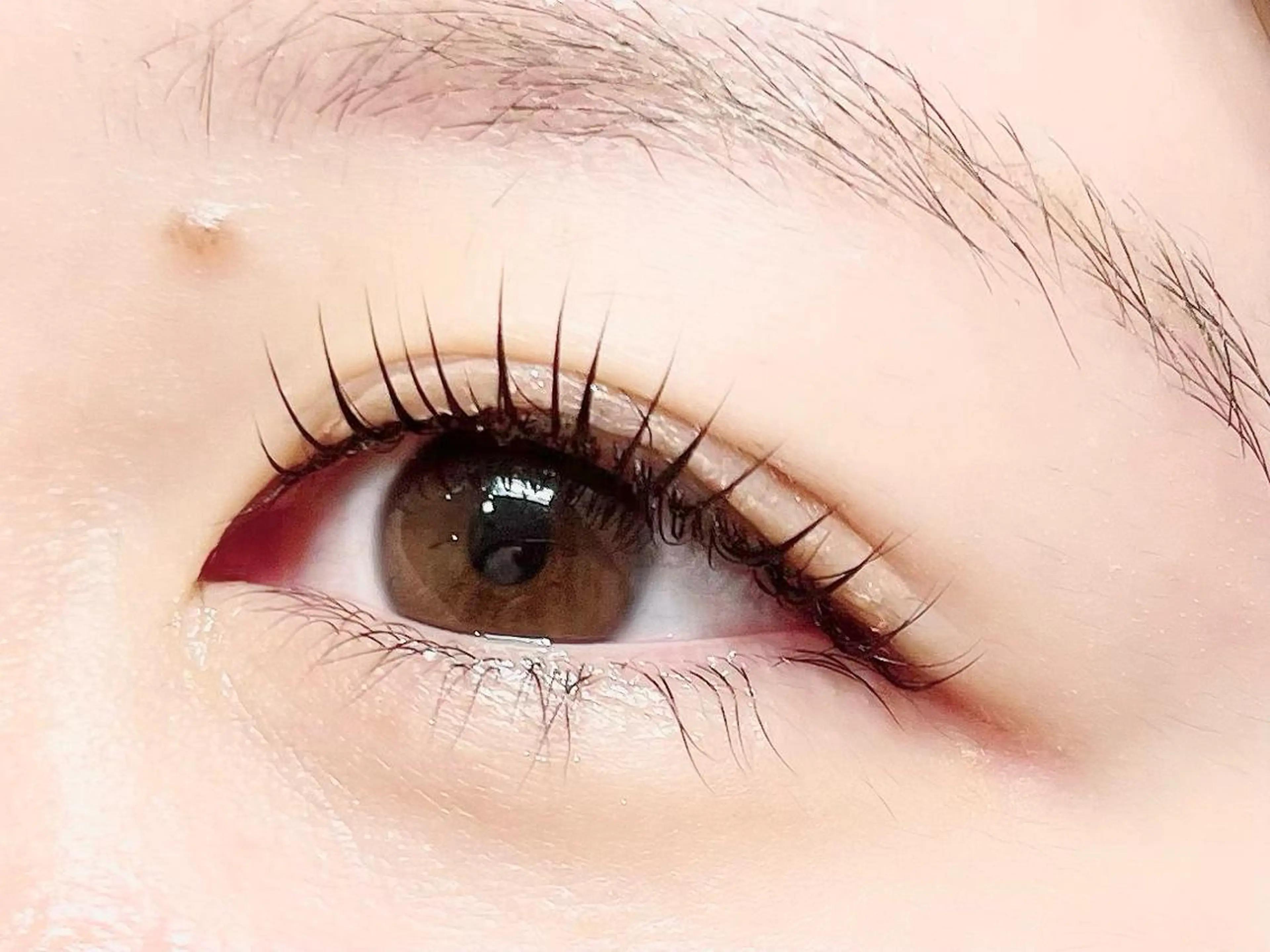 マツエク・マツパ パリジェンヌラッシュリフト その他(アイブロウ) eyelist / nana🌱のマツエク・マツパデザイン