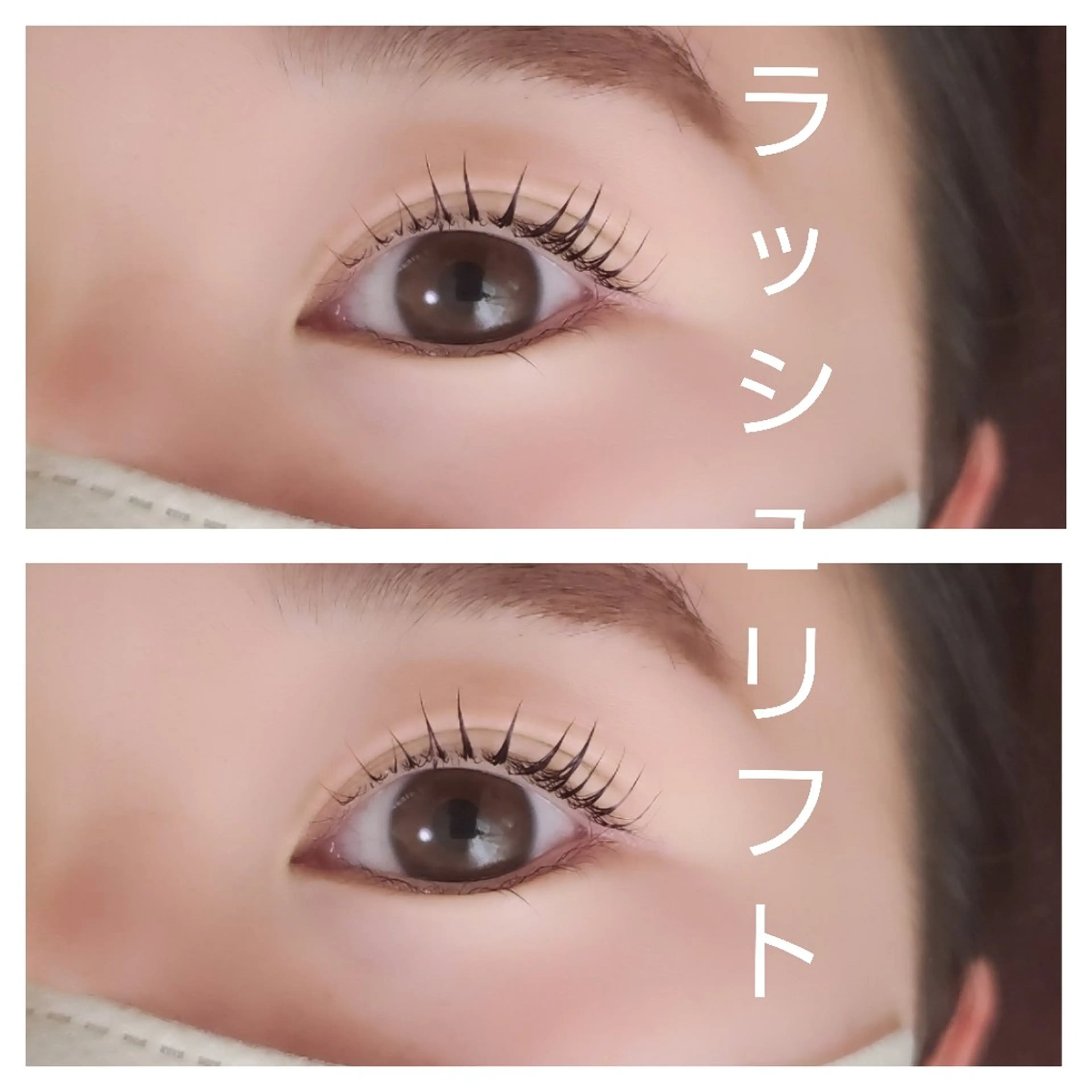 🍭まつ毛の長さを最大限に魅せる🍭ラッシュリフト【コーティング付き】ご新規様限定※所要時間60分程度※の写真