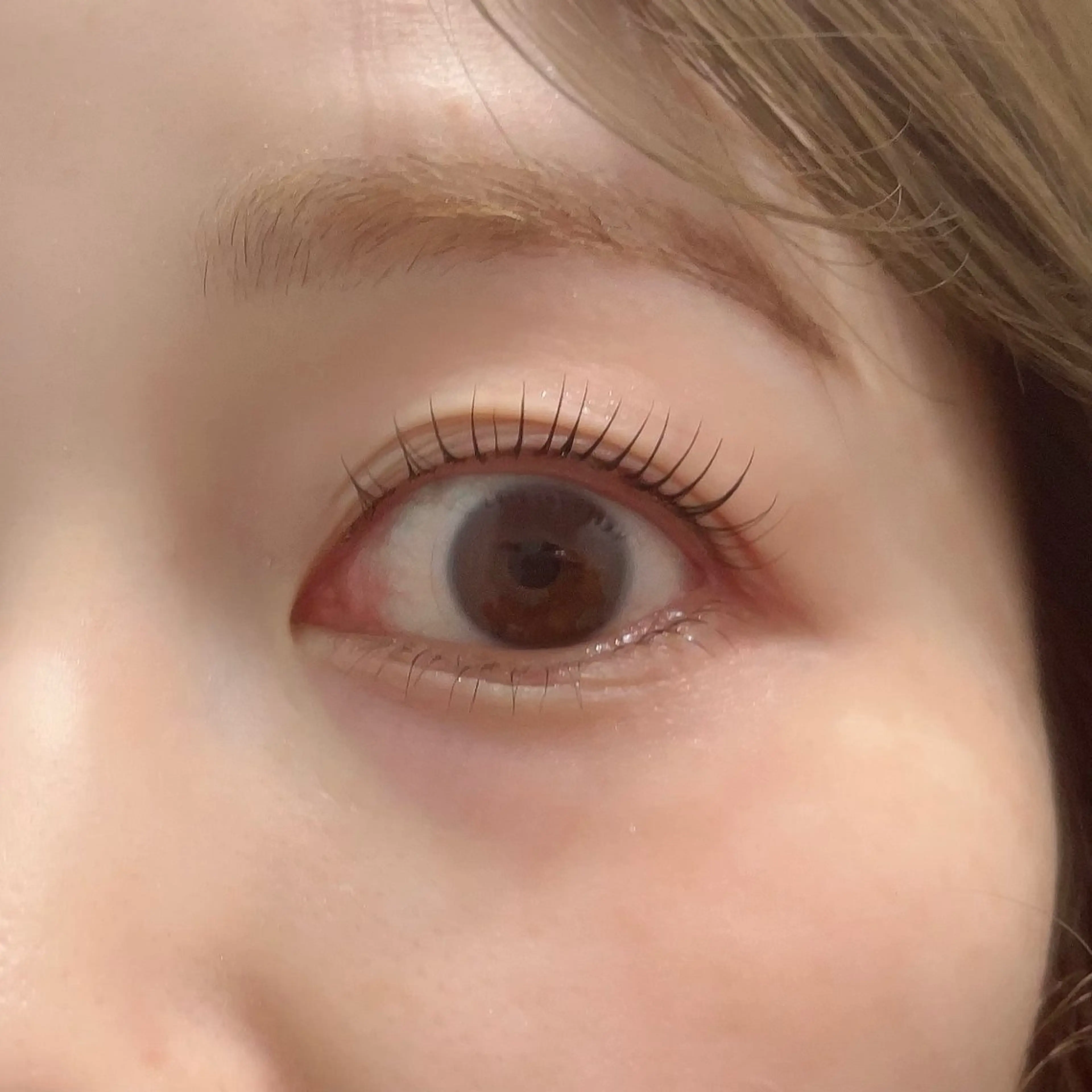 マツエク・マツパ EYELA万代店 池田のマツエク・マツパデザイン