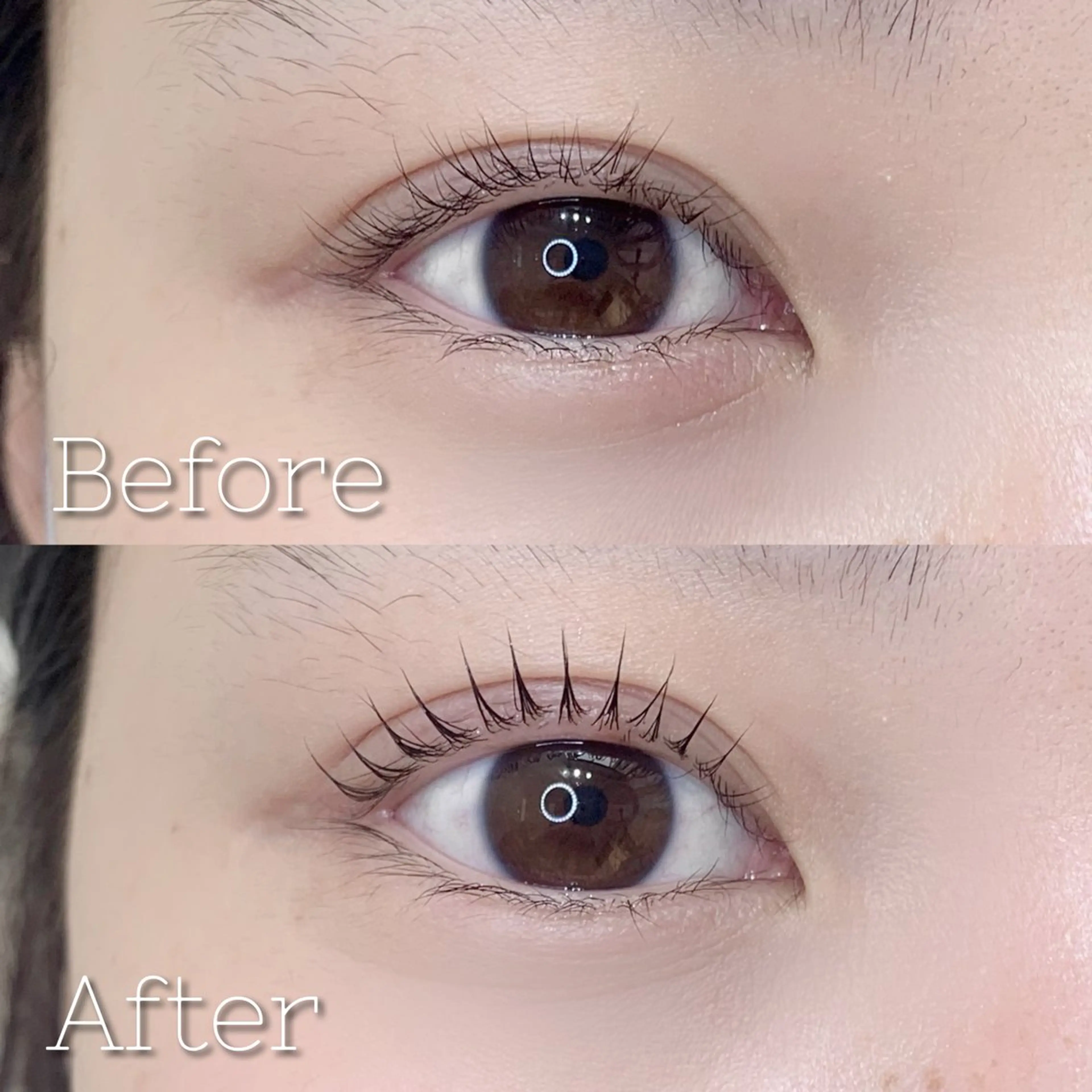 マツエク・マツパ ｍａｌｃ．所属・大阪/天王寺/寺田町 /河堀口のマツエク・マツパデザイン