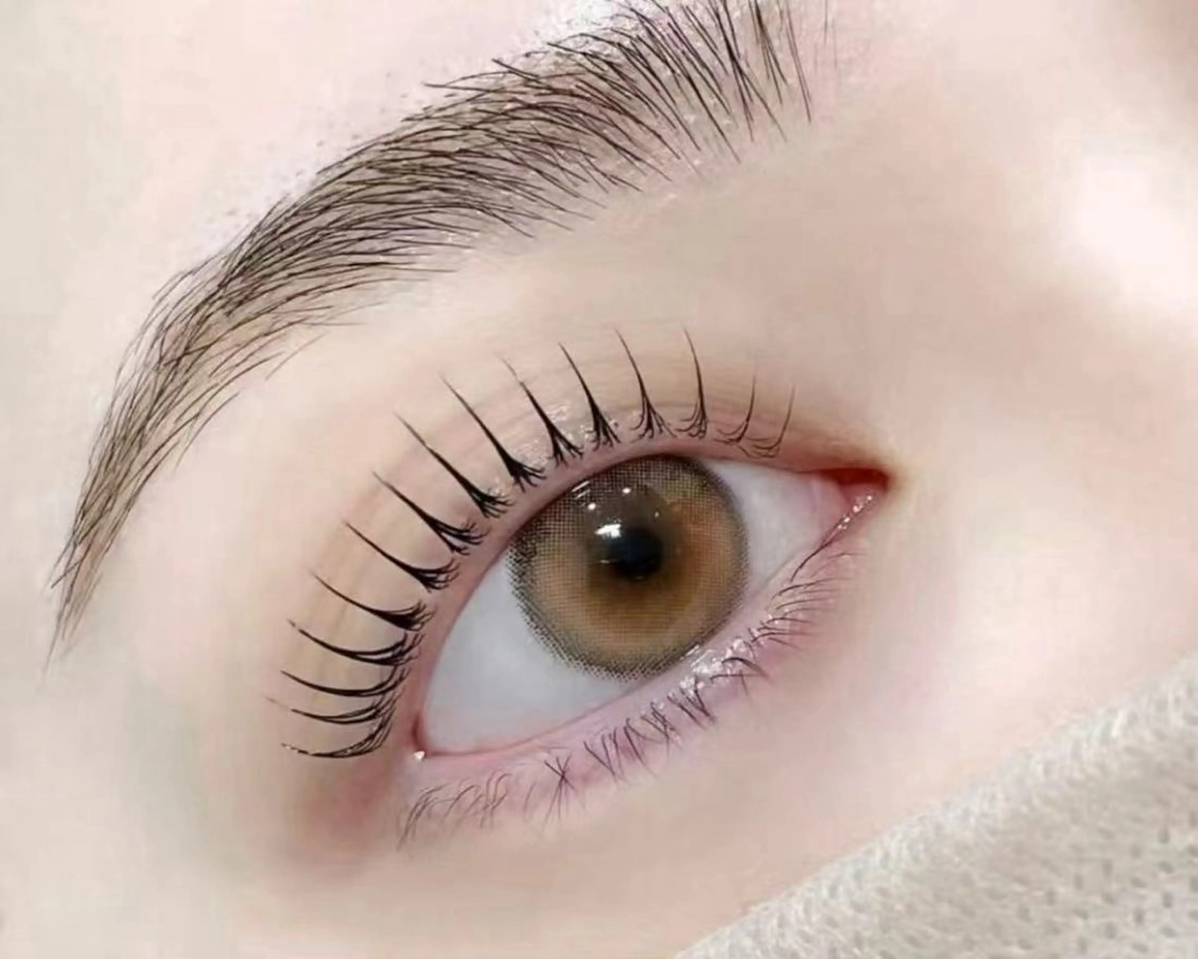 潤いまつげパーマ（美容液付き）の写真