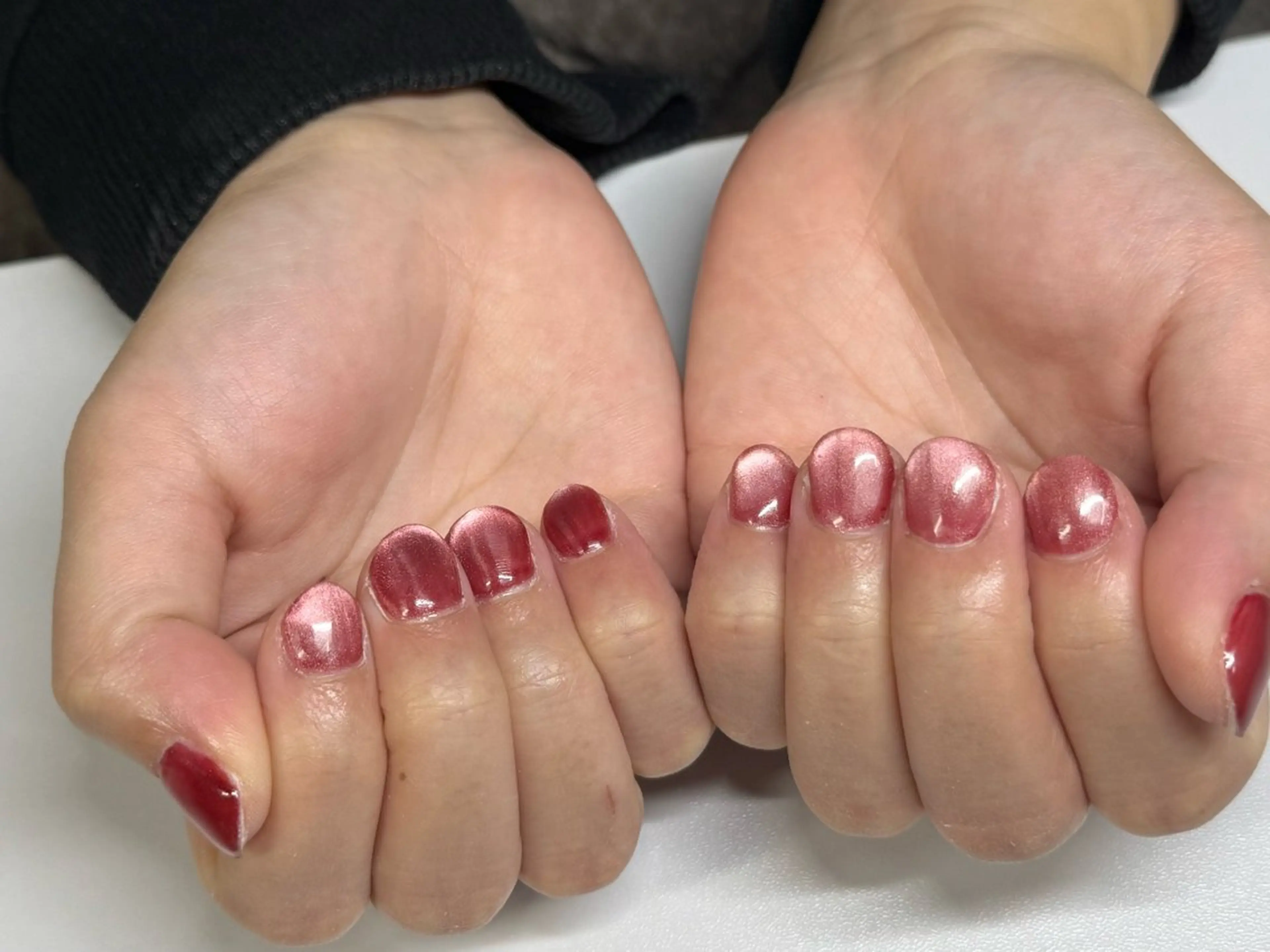 人気No.1【マグネット】シンプルで上品なツヤ感の写真