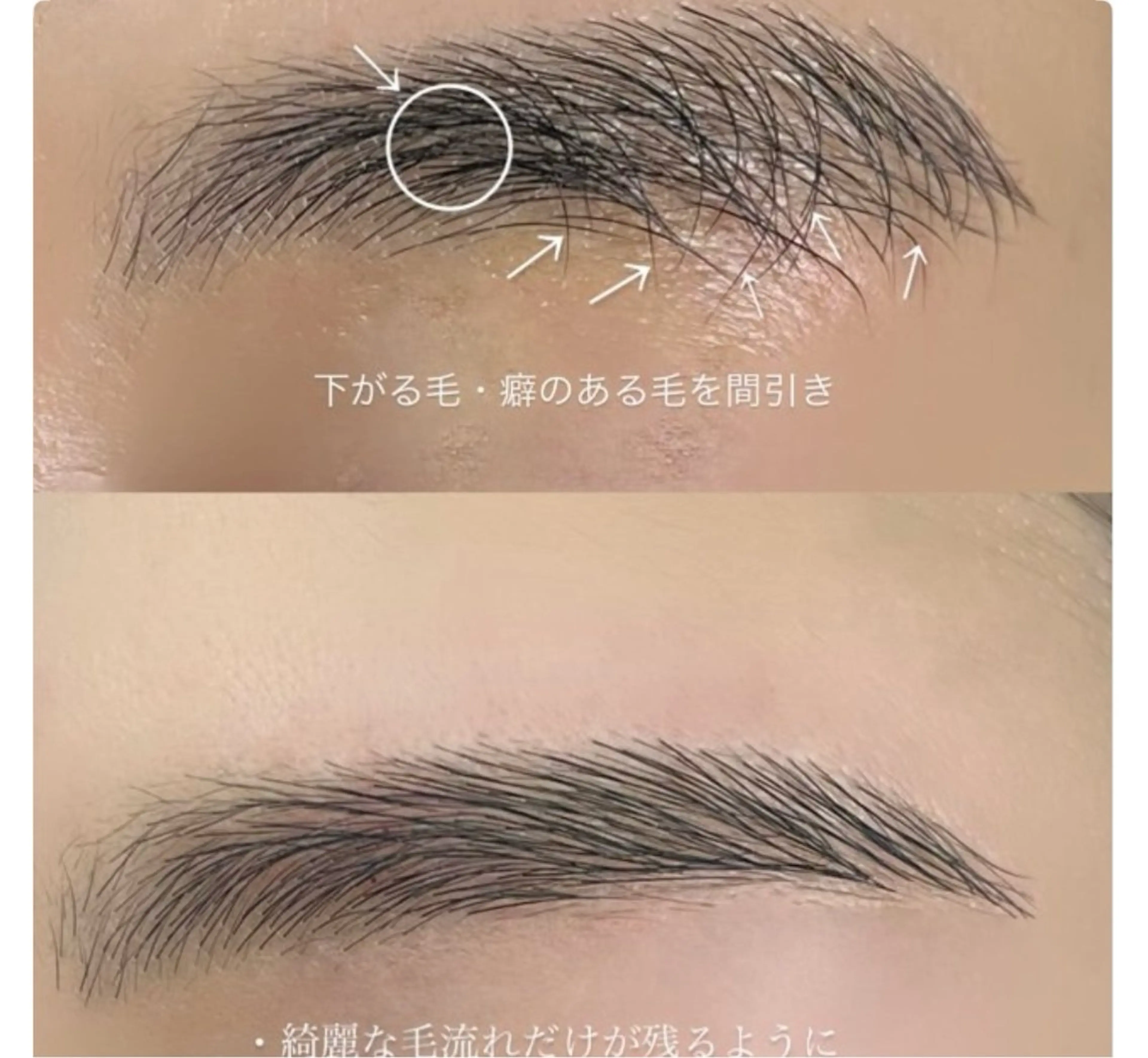 アイブロウ ワックス脱毛 眉カット その他(アイブロウ) AI🌙登戸/ 骨格分析/眉/まつ毛の眉毛・アイブロウイメージ