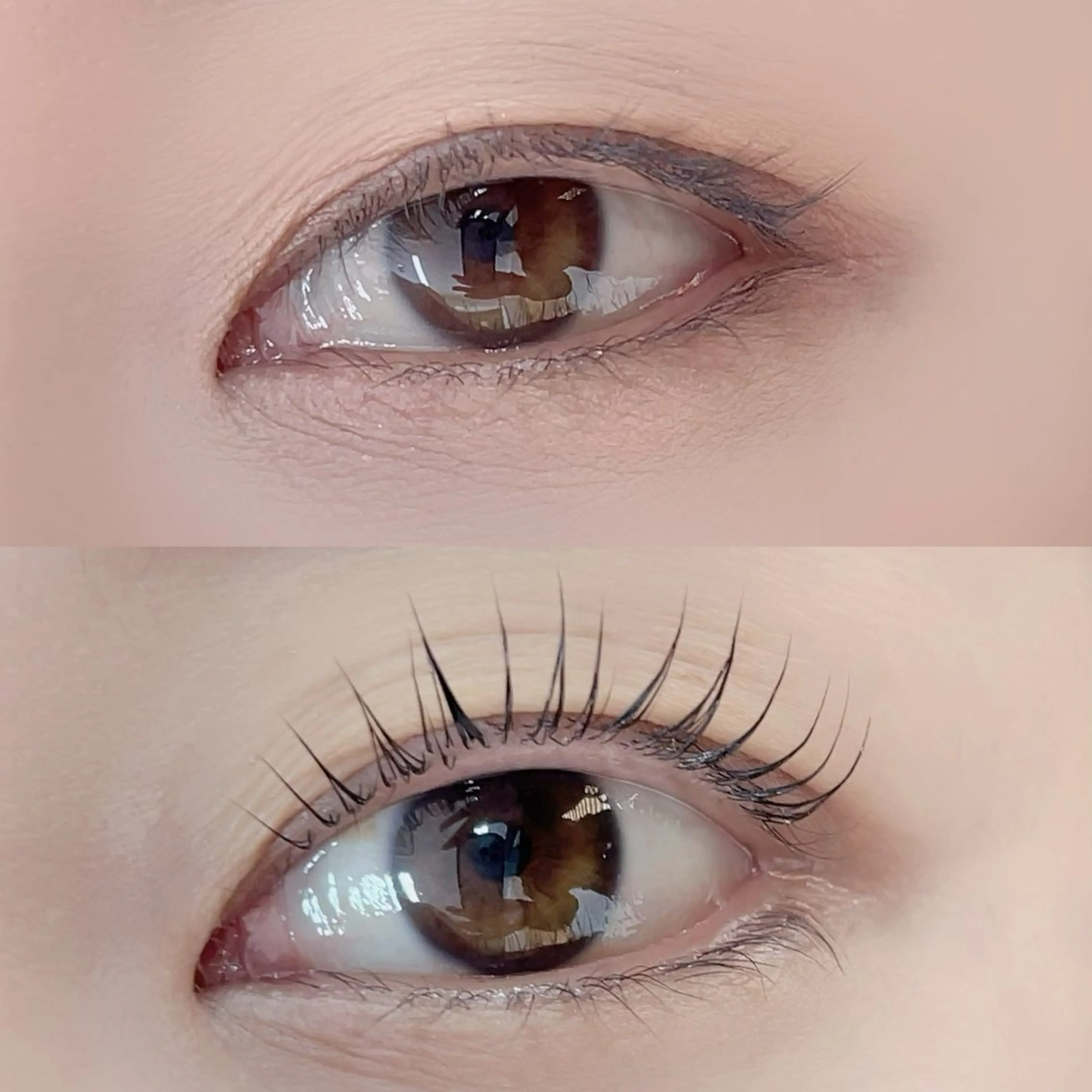 マツエク・マツパ R🌹 ⁺⊹˚.のマツエク・マツパデザイン