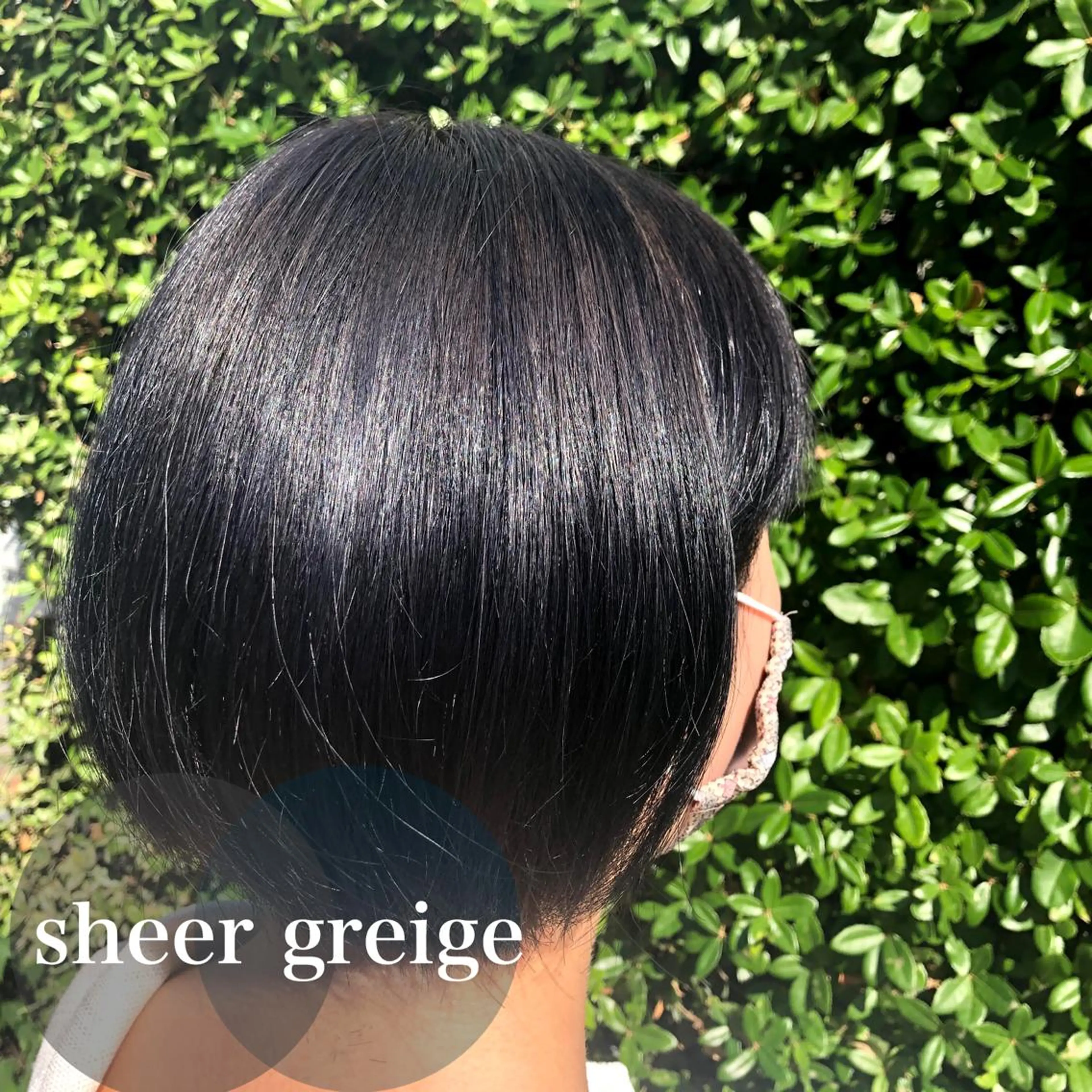 ショート カラー パーマ ヘアアレンジ キッズ ネイル マツエク・マツパ カット ヘアカラー トリートメント 🦋透明感グレージュ /韓国レイヤー🦋のヘアスタイル