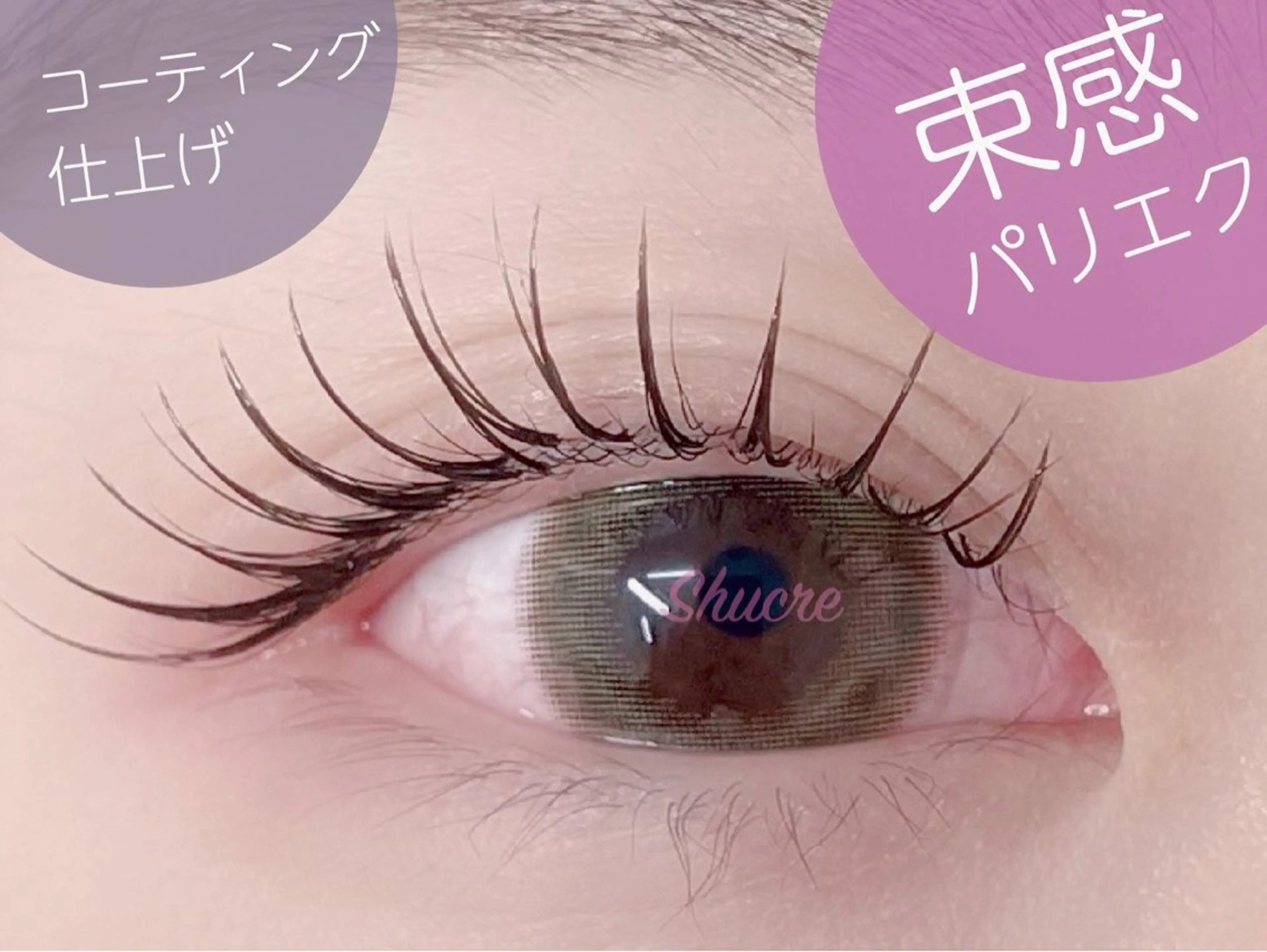 マツエク・マツパ shucre藤が丘 🎀Asamiの眉毛・アイブロウイメージ