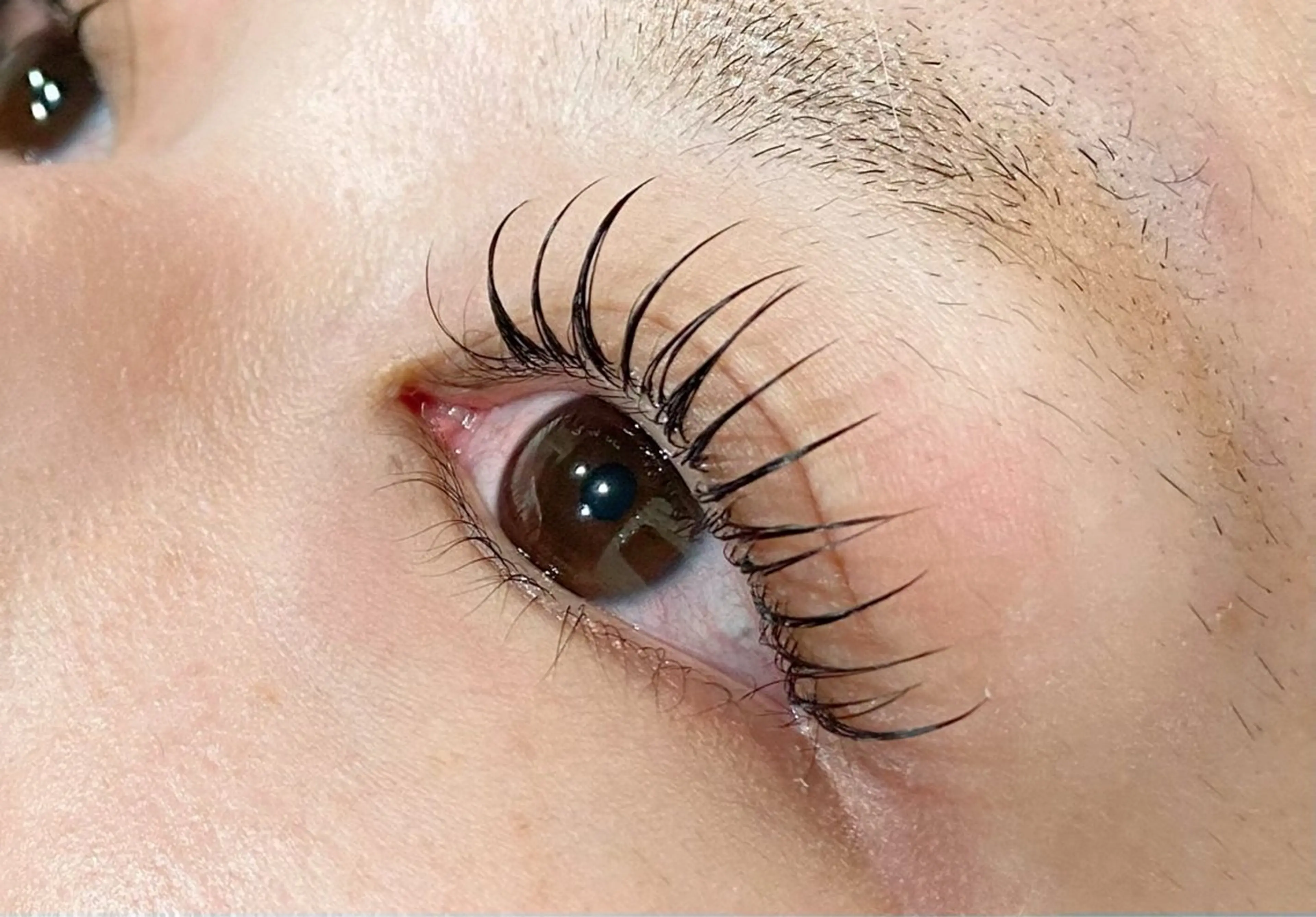 マツエク・マツパ KIMOTO 🐈‍⬛🤍のマツエク・マツパデザイン