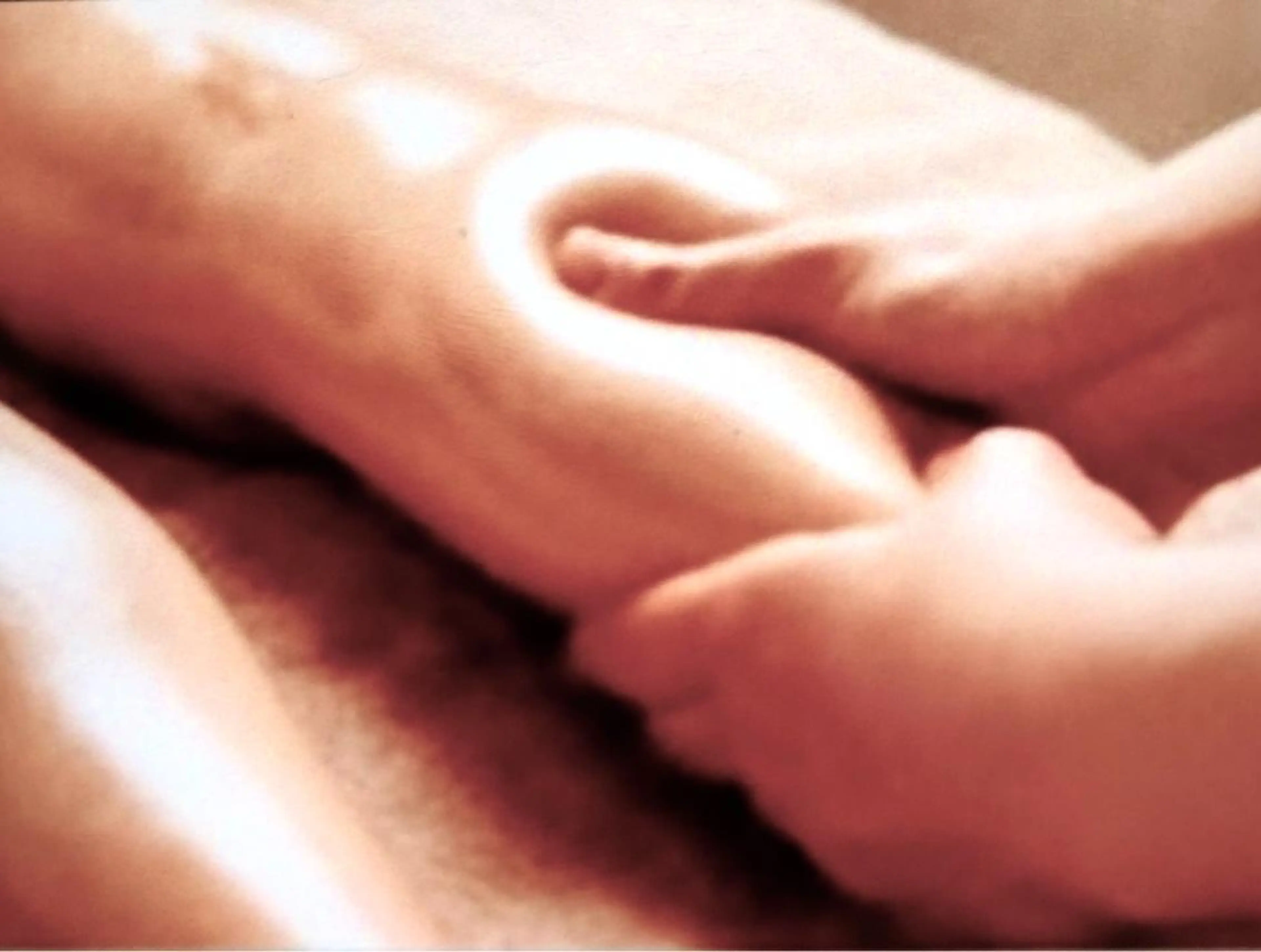 相内 満理子のヘアスタイル