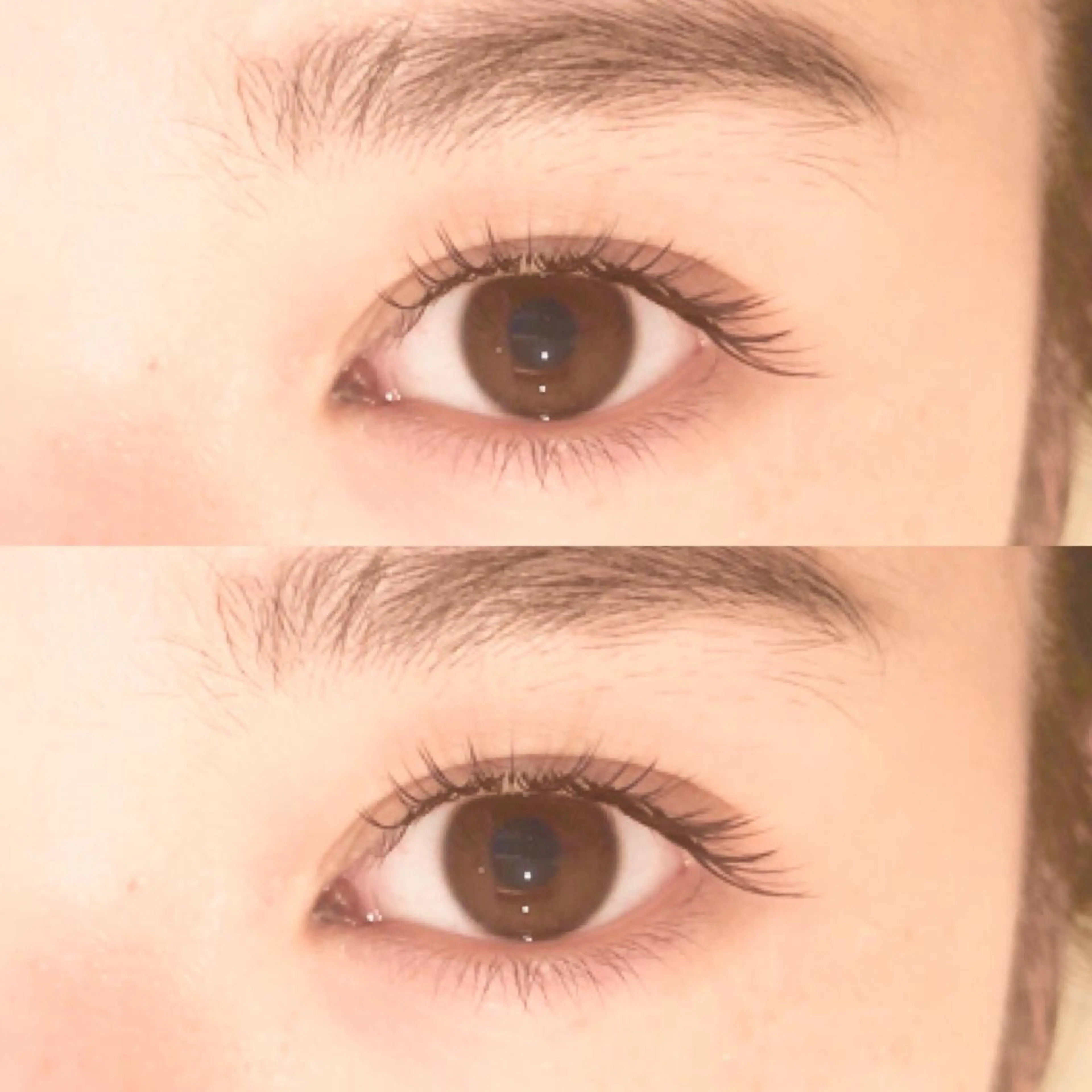 マツエク・マツパ シルク マツエク リリバイシエル 長谷川の眉毛・アイブロウイメージ