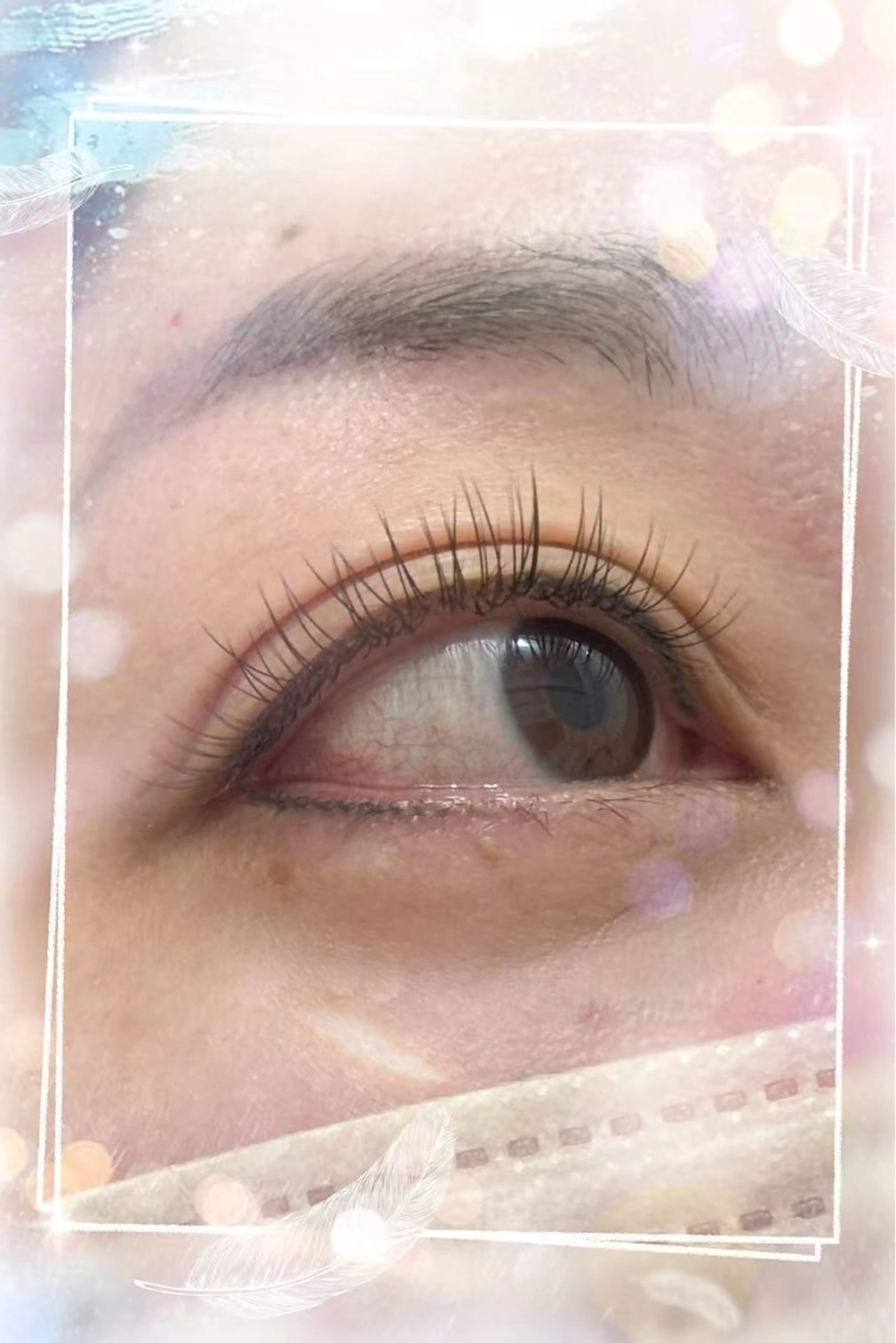 フラットラシュ160本の写真