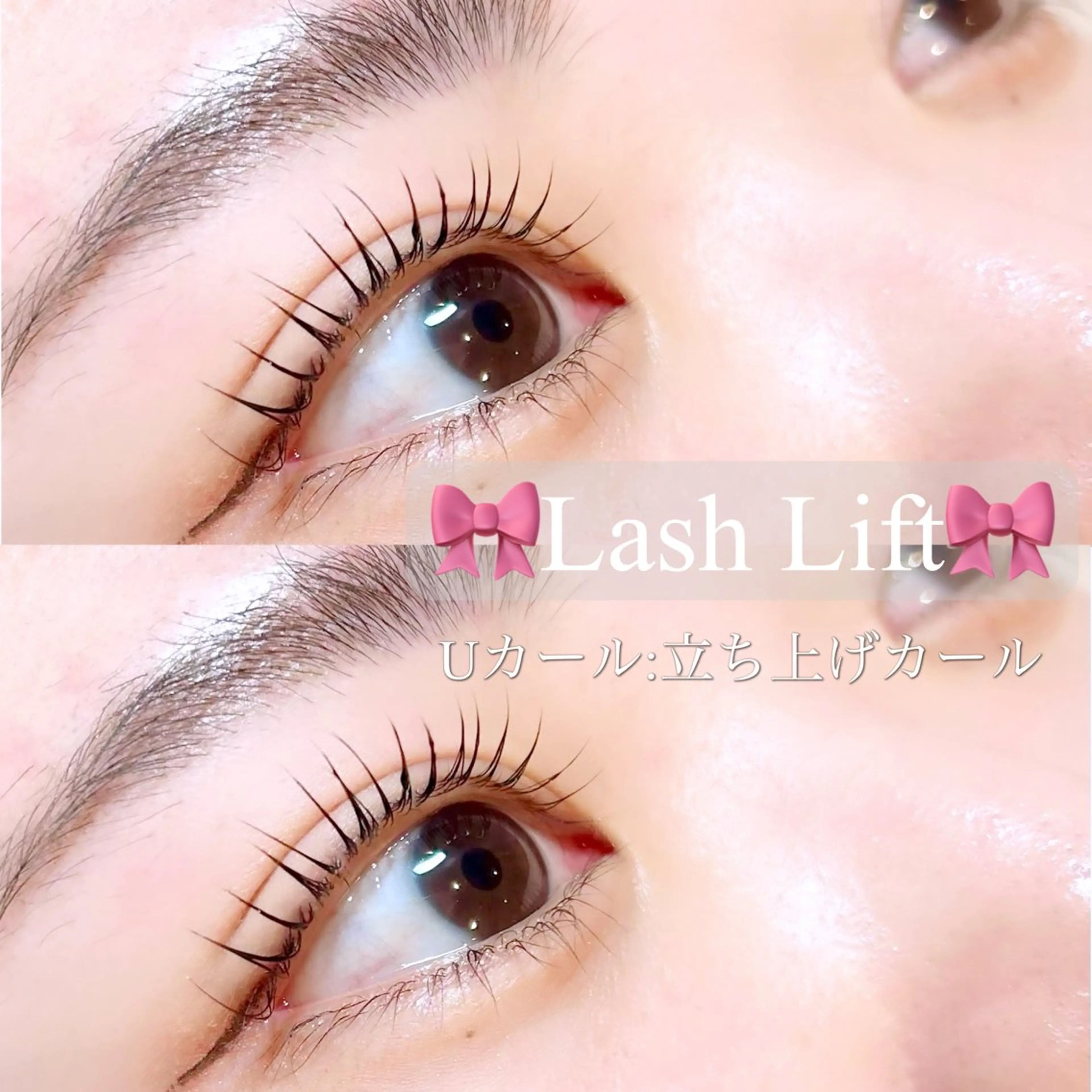 🖤12/20限定🖤選べるパリジェンヌorまつげパーマ《60分》｜ラッシュリフトの写真