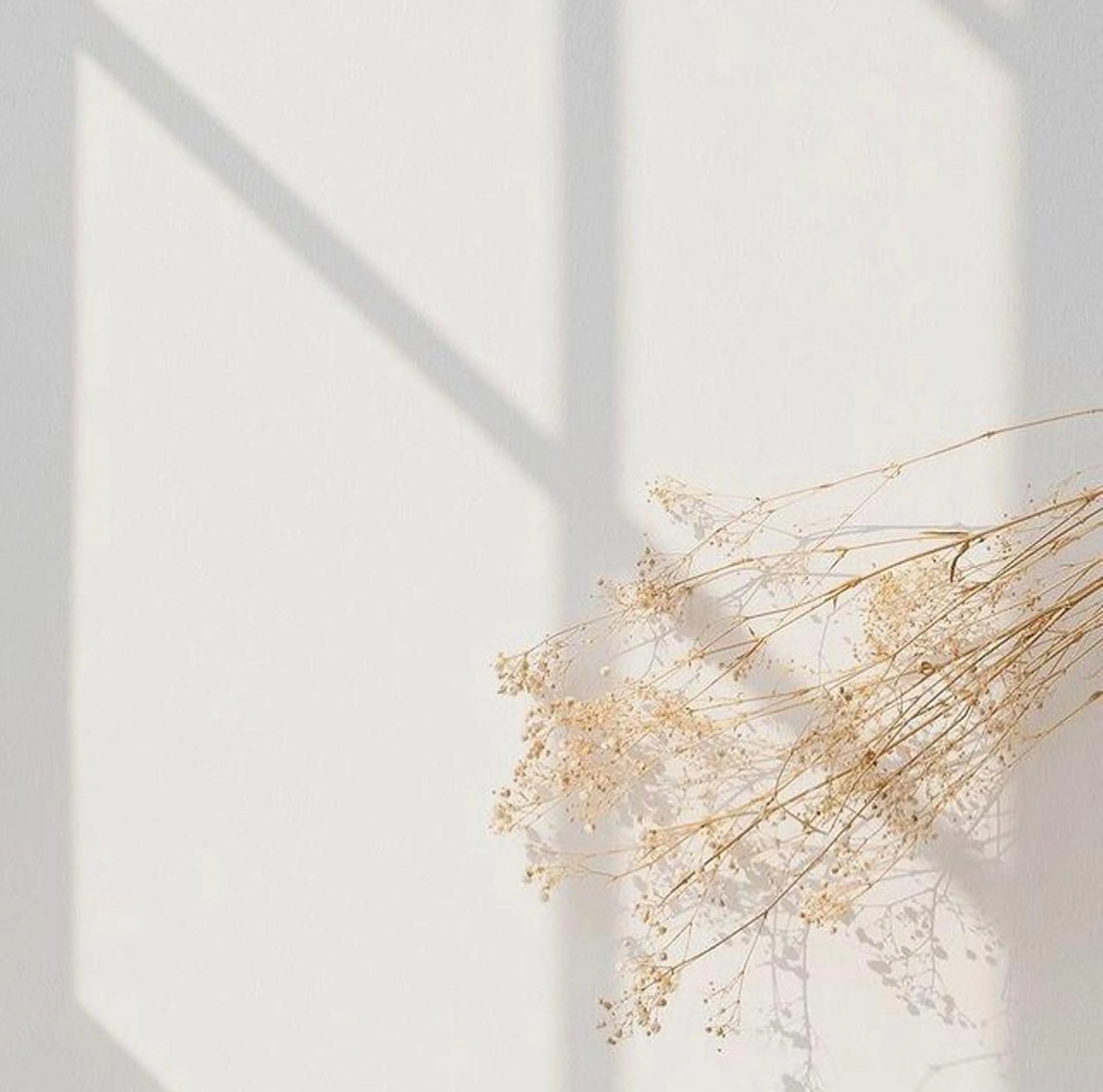 マツエク・マツパ マツエク まつえく屋さん 【M A L O】のマツエク・マツパデザイン