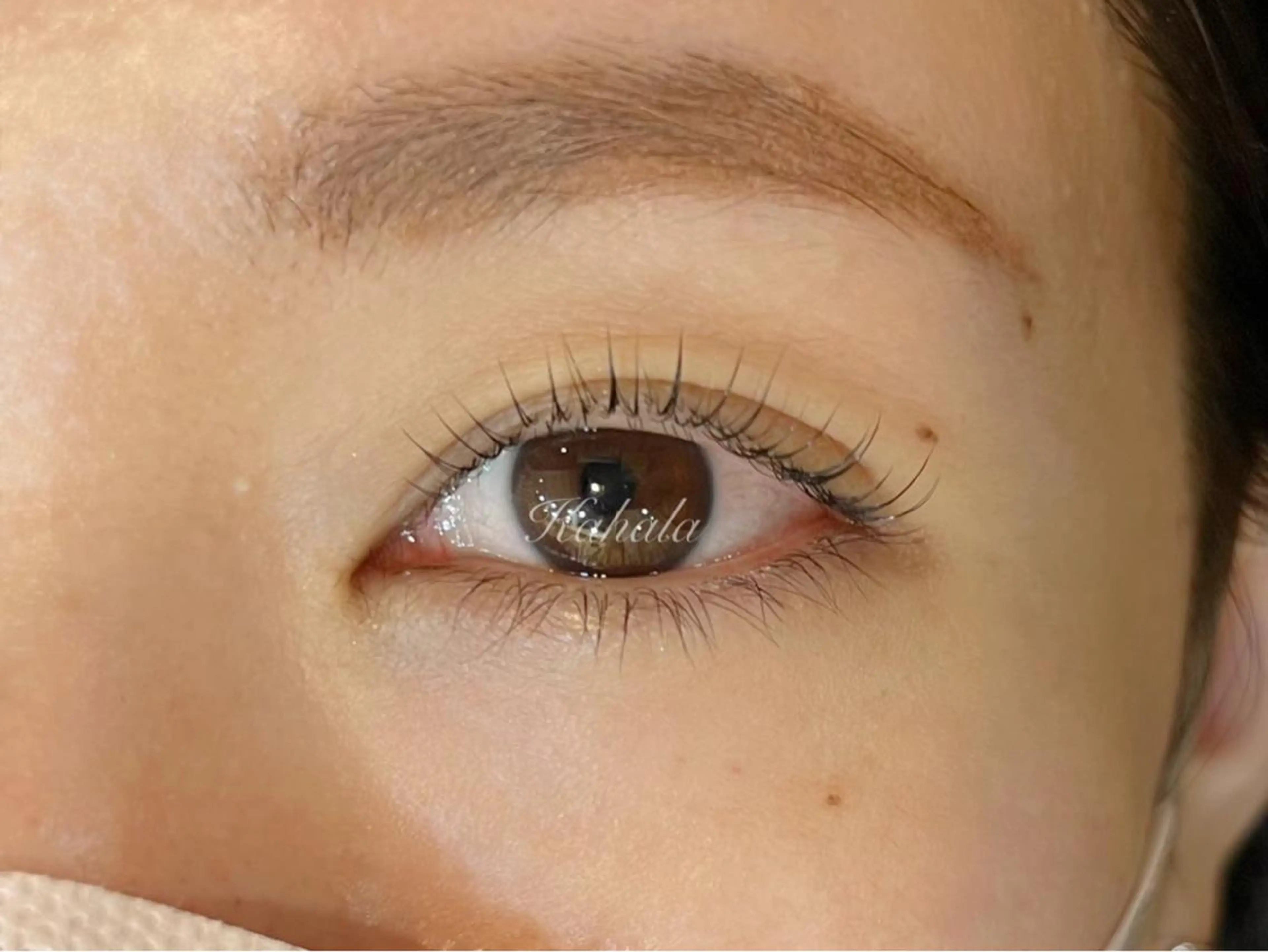 マツエク・マツパ アイラッシュリゾートカハラ新宿本店所属・Kahala KOMADAのマツエク・マツパデザイン