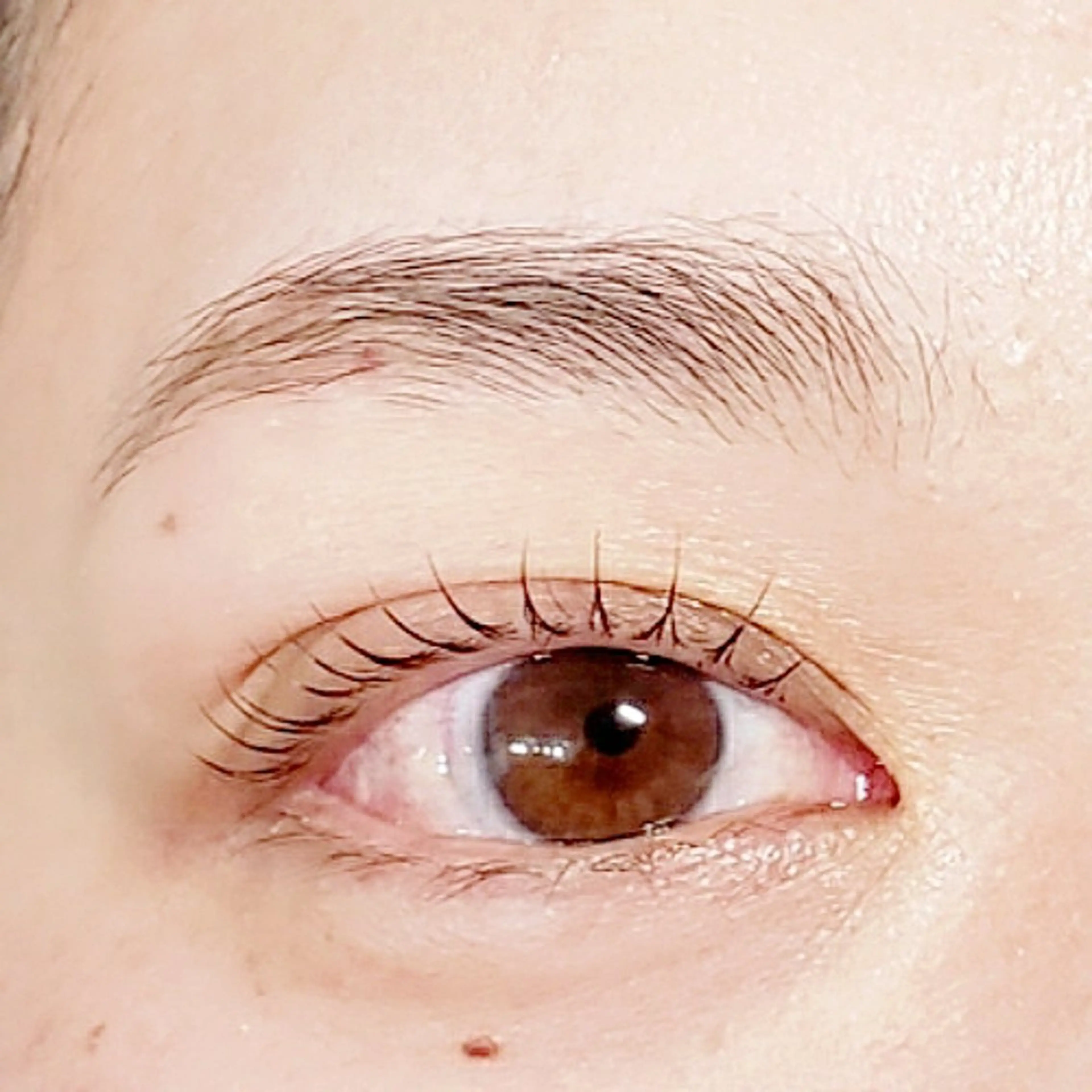 マツエク・マツパ パリジェンヌラッシュリフト EBRIS浦和店 ☆ M a n aの眉毛・アイブロウイメージ