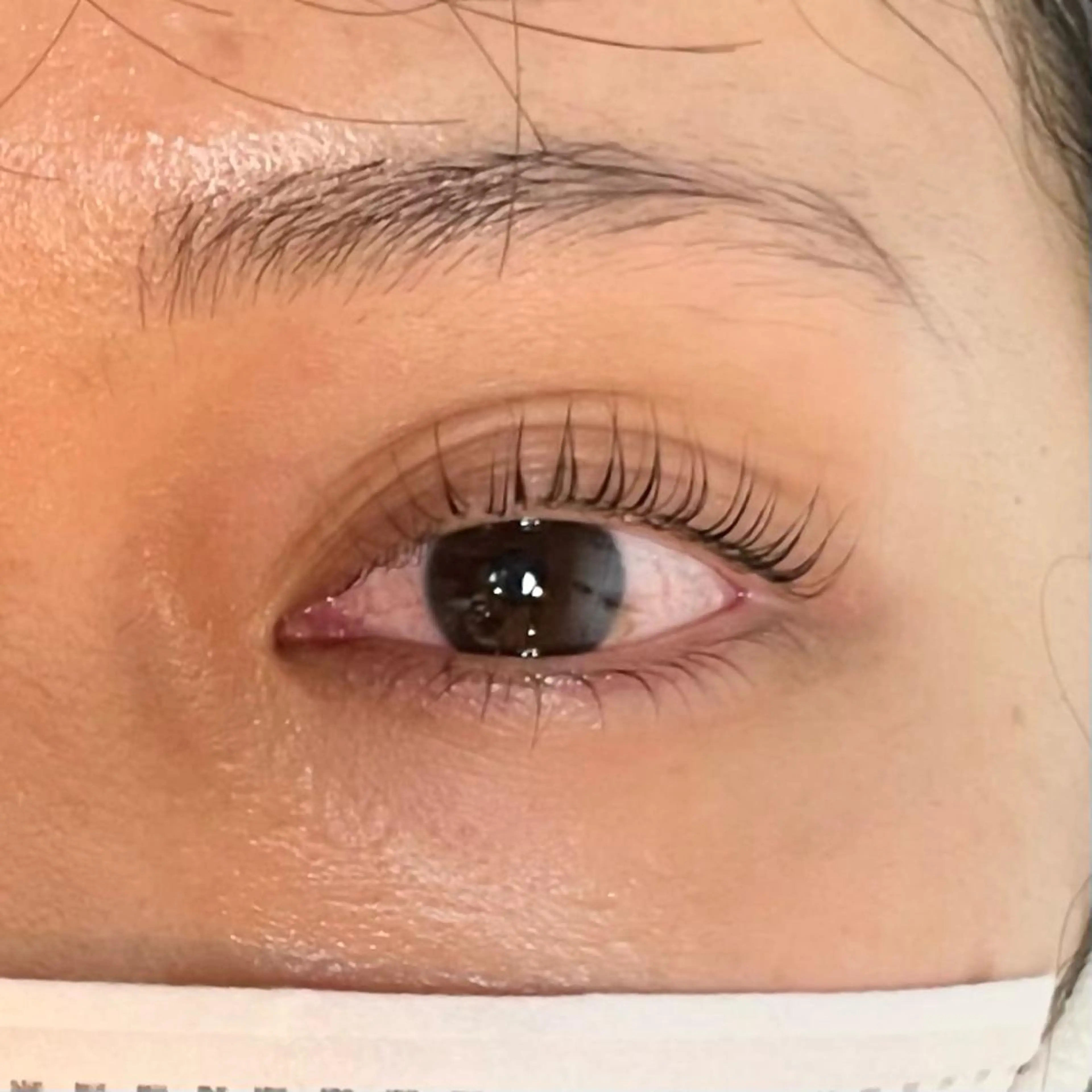 🌈上下まつ毛パーマ🌈の写真