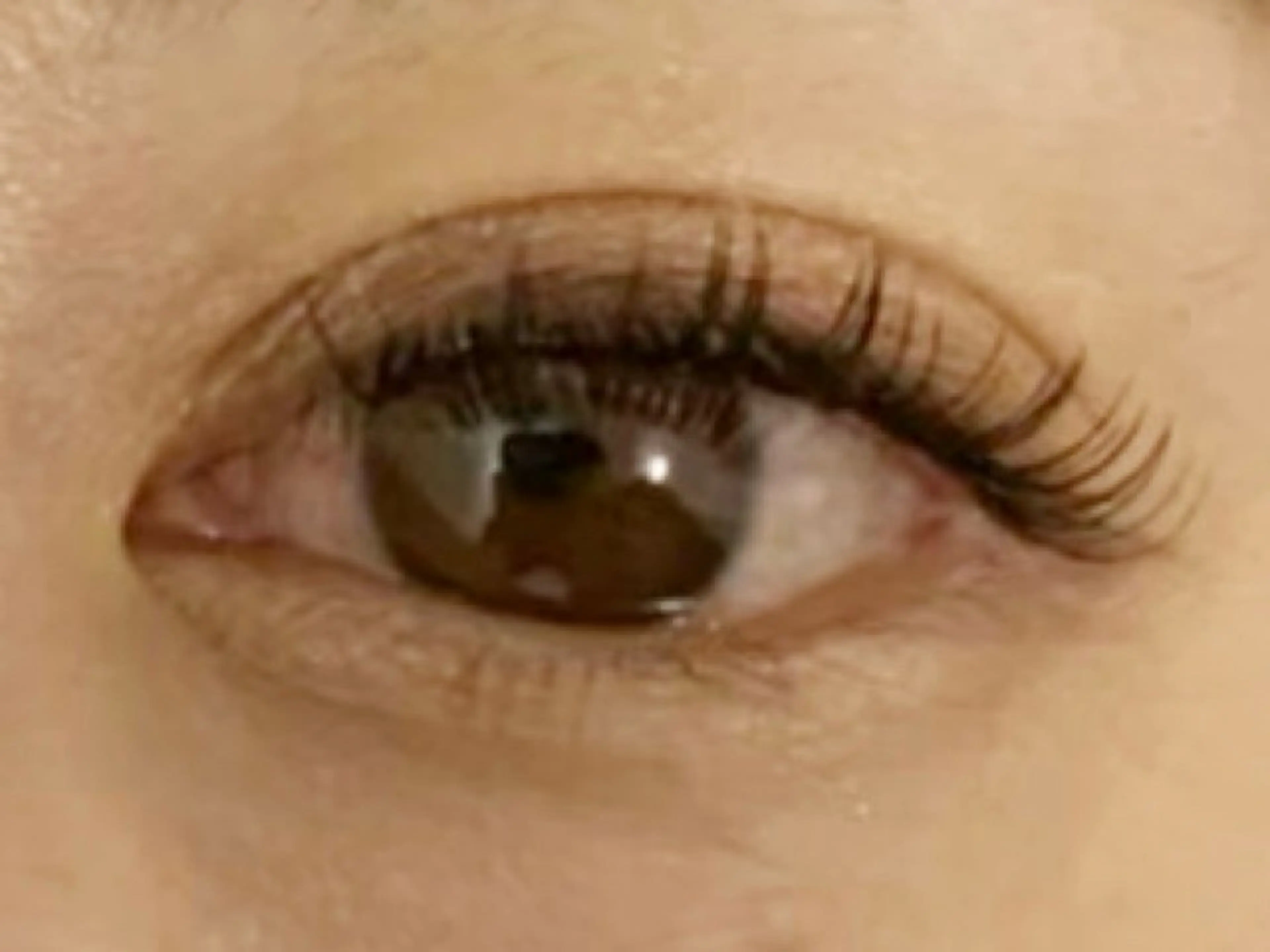 マツエク・マツパ マツエク アイラッシュサロンLuz町田店所属・Luz町田店 工藤のマツエク・マツパデザイン