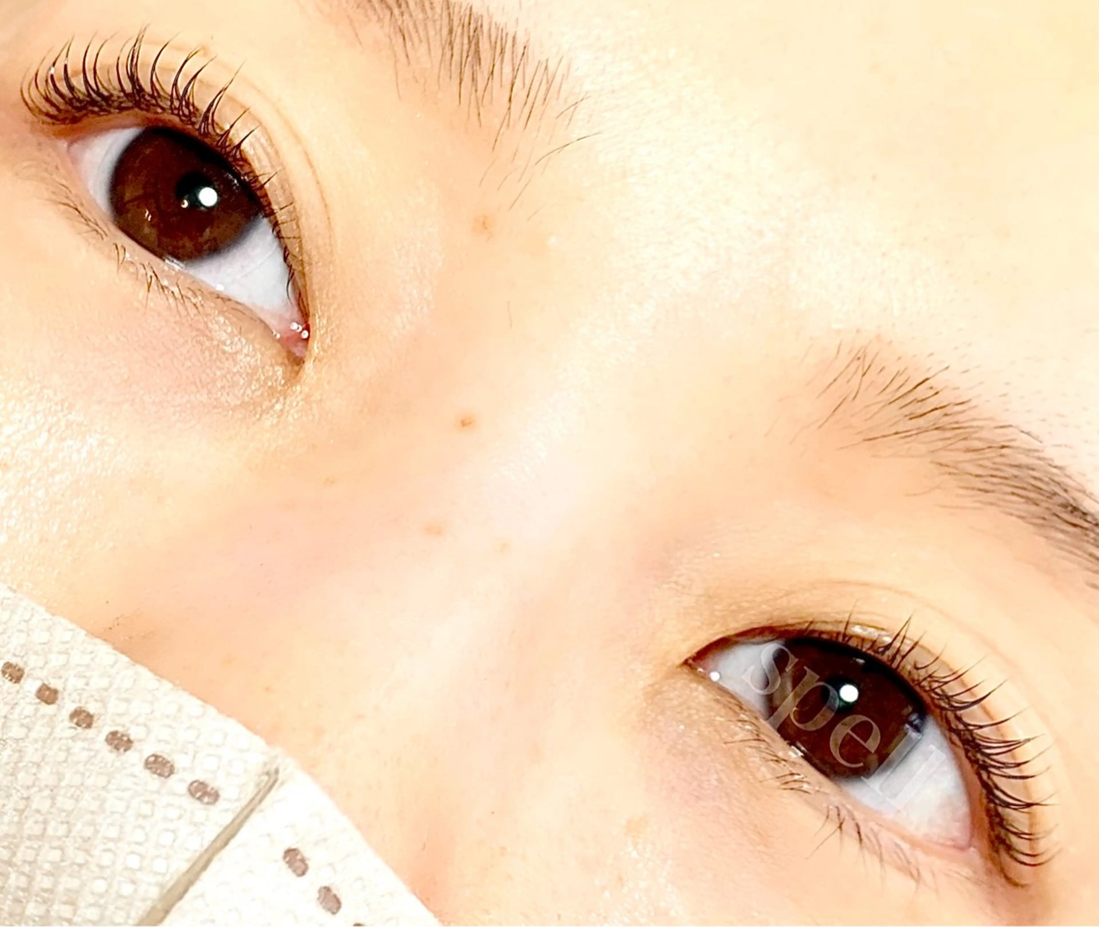 マツエク・マツパ マツパ spell_eyelash所属・spell eyelashのマツエク・マツパデザイン