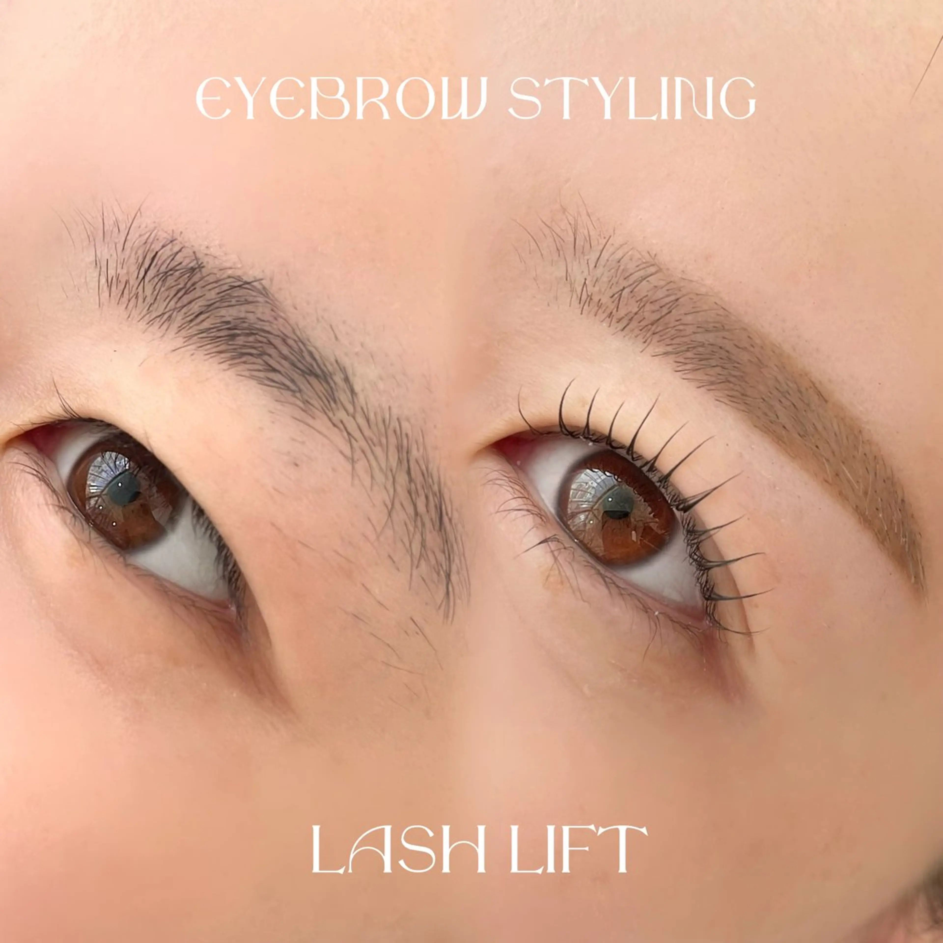 【平日限定セット🈹】アイブロウスタイリング＆まつ毛パーマ　¥8500の写真