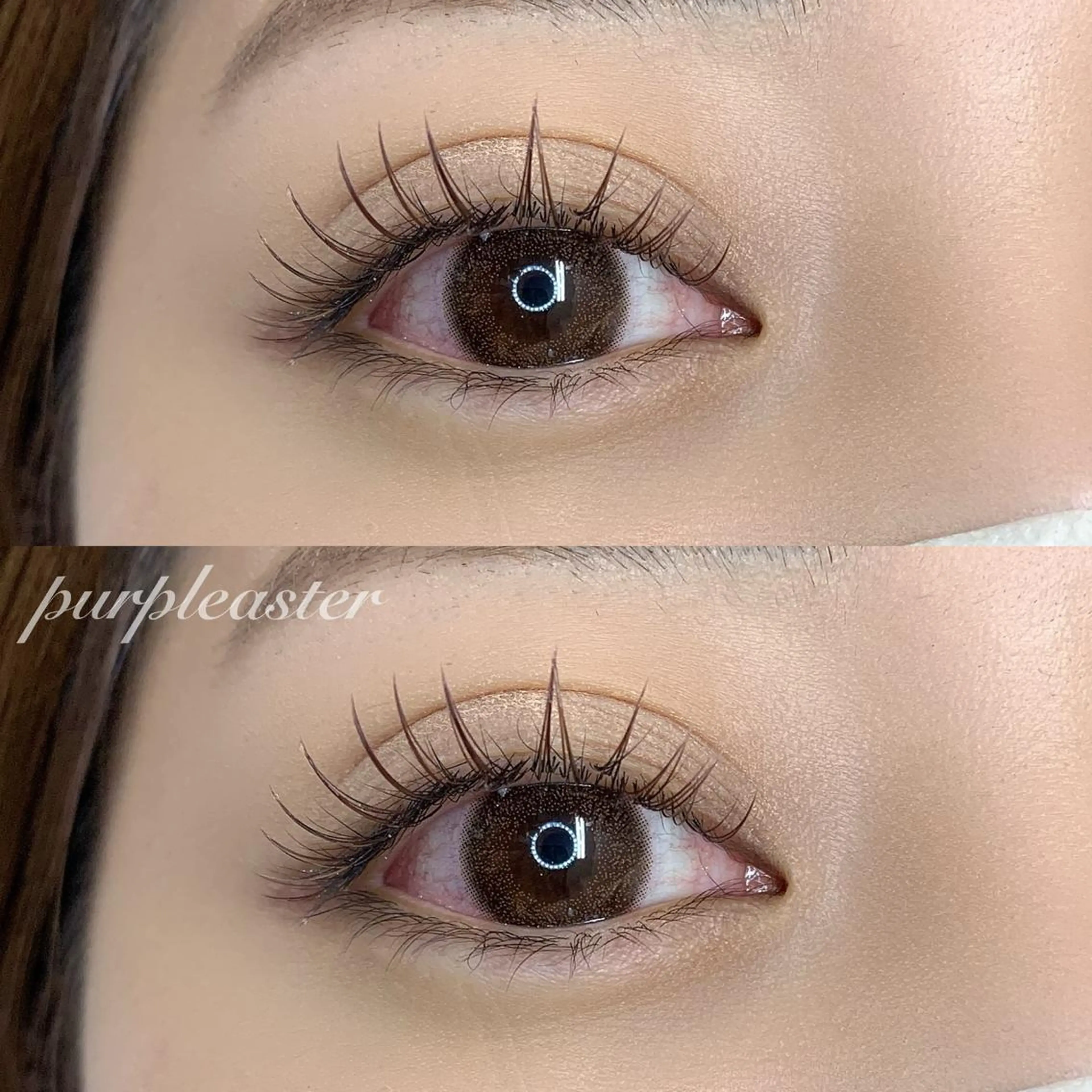 マツエク・マツパ カラーマツエク purple aster名駅店所属・パープルアスター/ mako🐈‍⬛🤍のマツエク・マツパデザイン