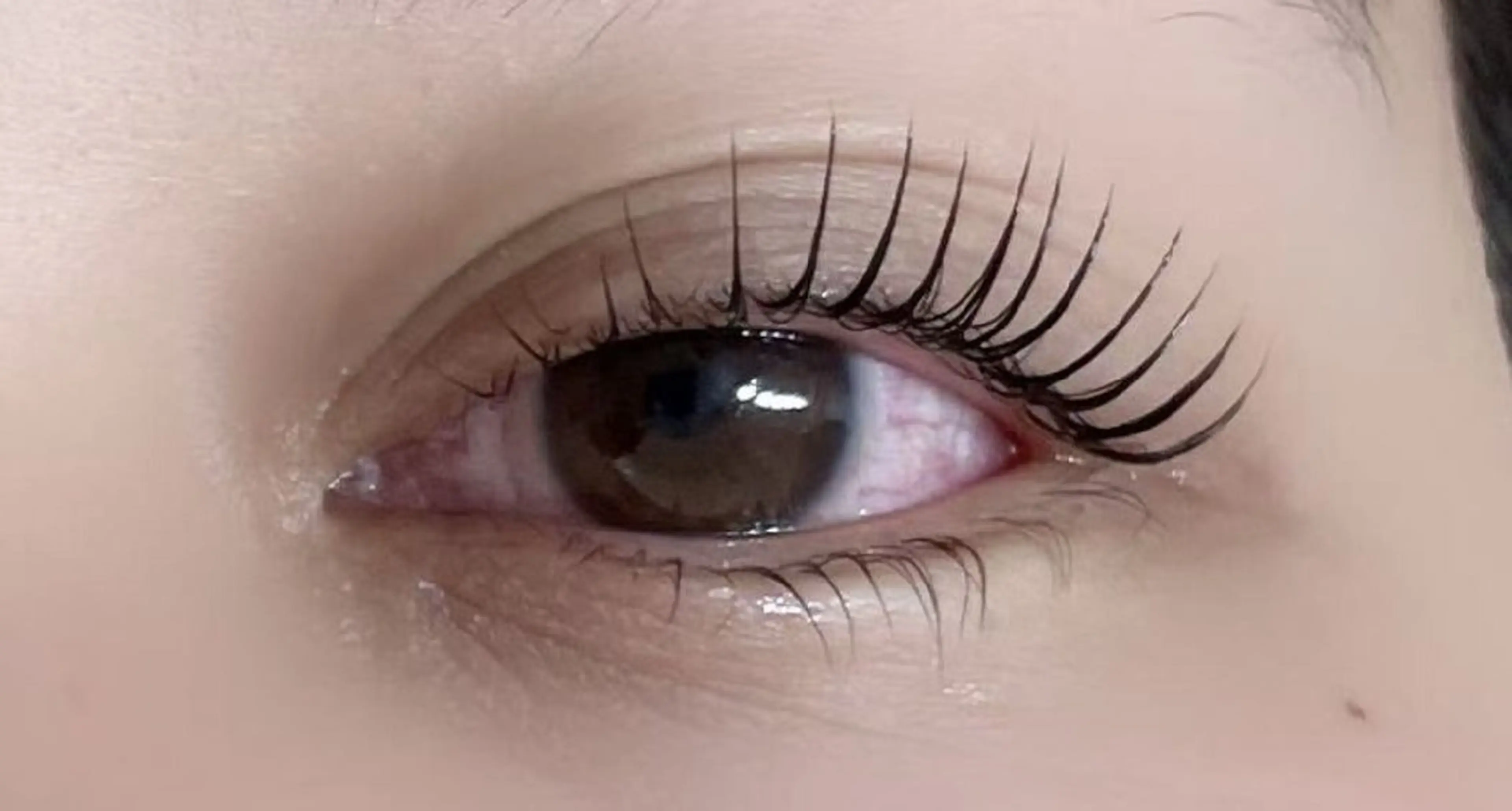 マツエク・マツパ アレグレス所属・アレグレス@池袋 🌹大人気店🌹のマツエク・マツパデザイン