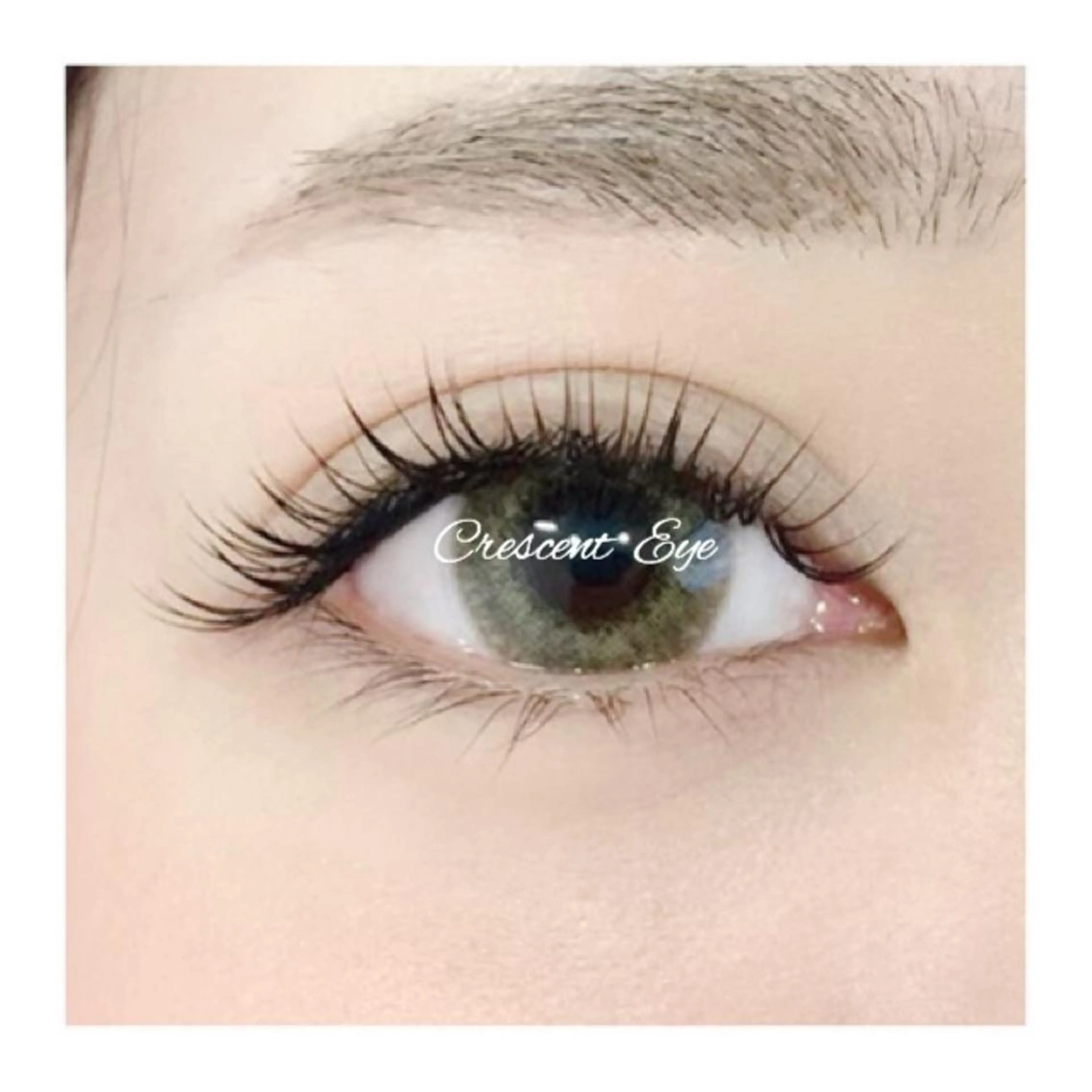 🌼全員【3step高濃度トリートメント付】最高級レーザーセーブル上付け放題(約160本)の写真