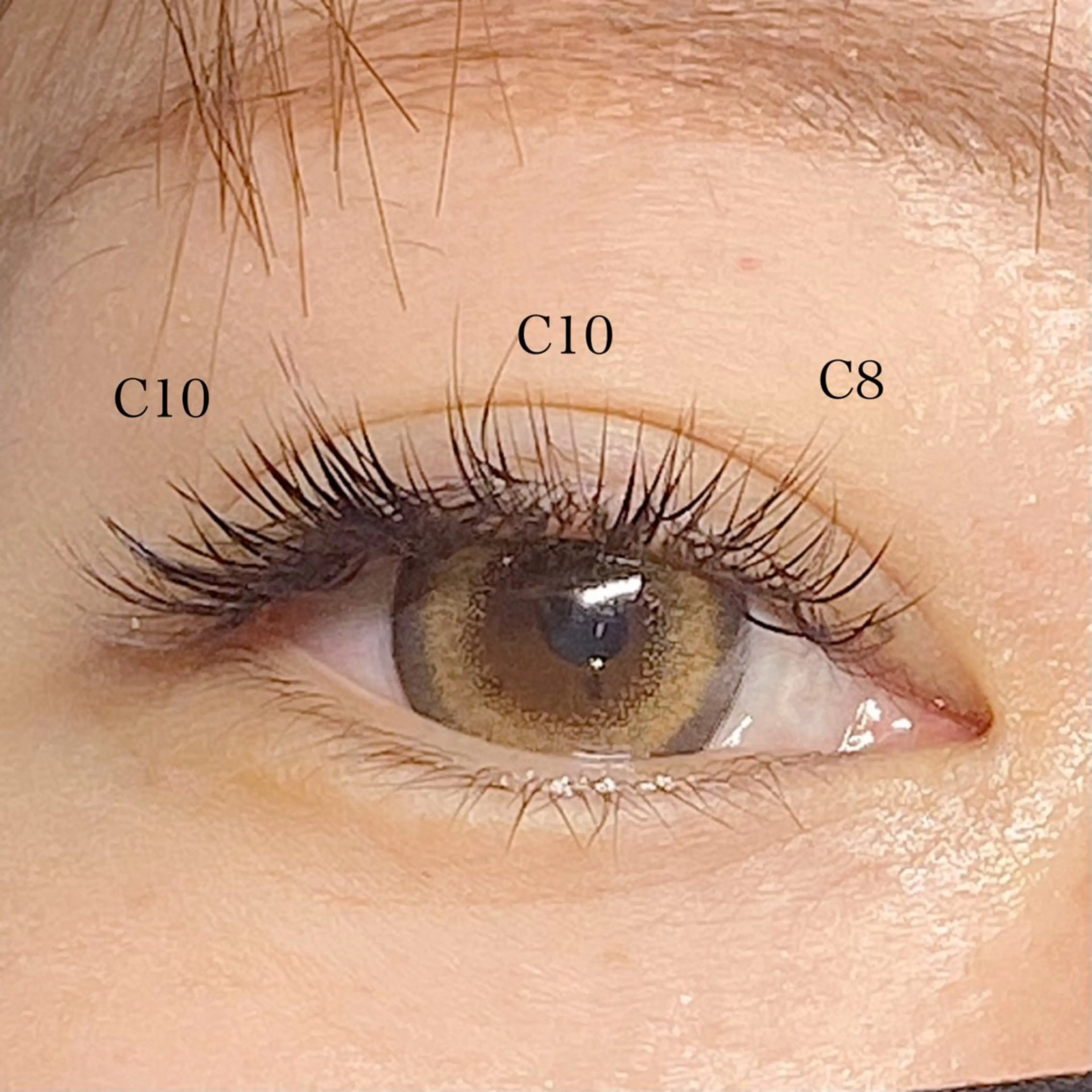 LED🔦ボリュームラッシュ100束 6780円→5200円の写真