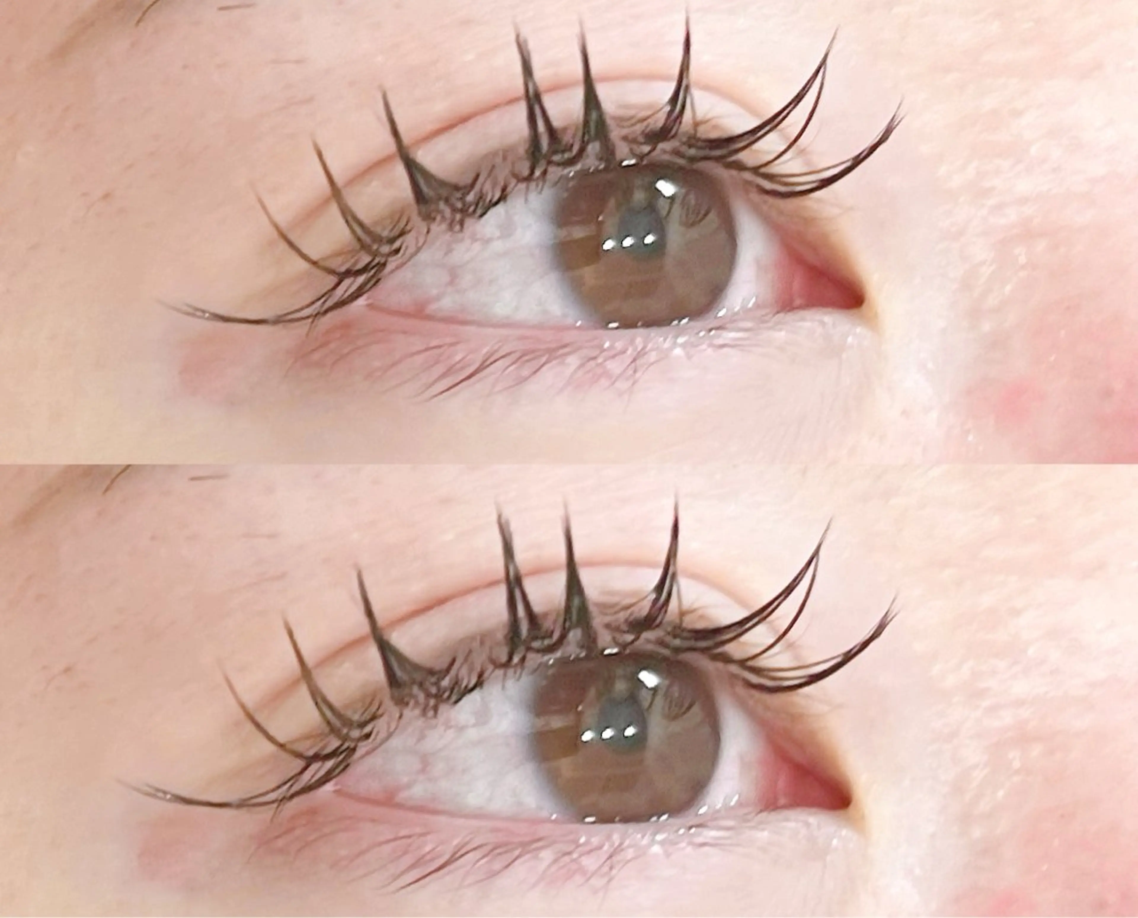 🍬フラットラッシュ【つけ放題60分】🍬当日予約⭕️の写真