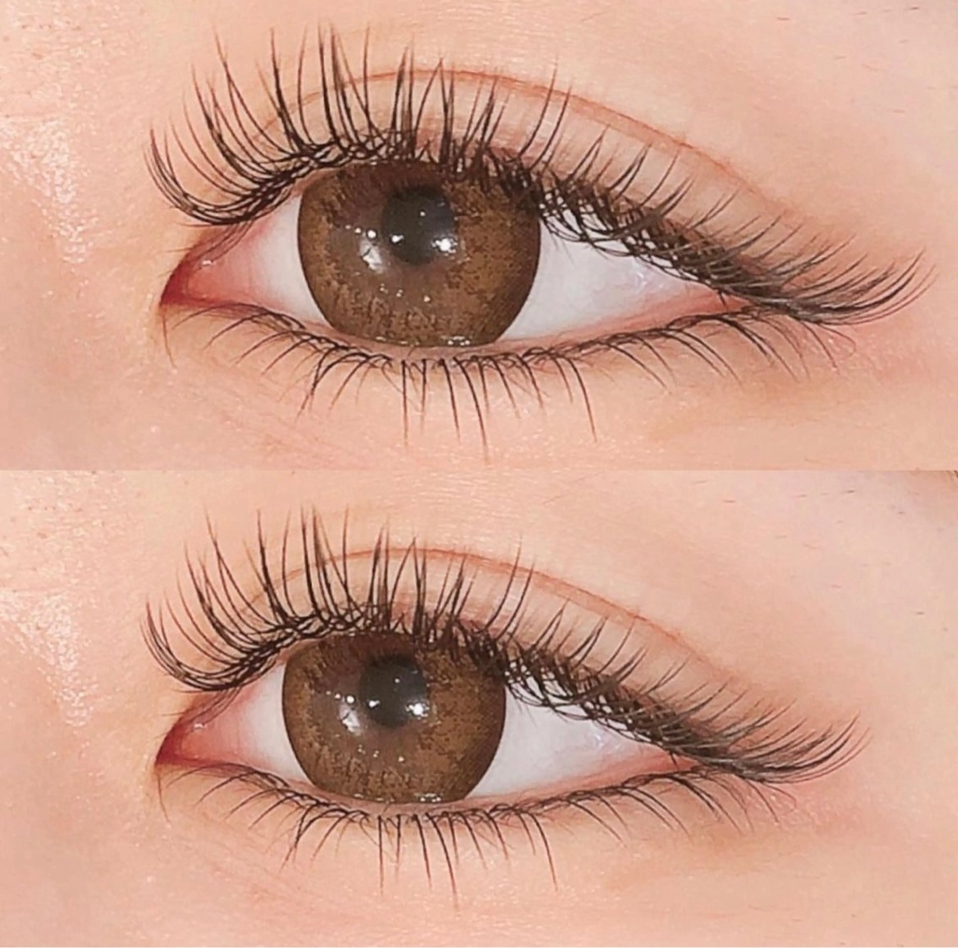 【🌼minimo限定クーポン🌼】フラットラッシュorセーブルラッシュ140本🩵+下まつげエクステ20本ずつの写真