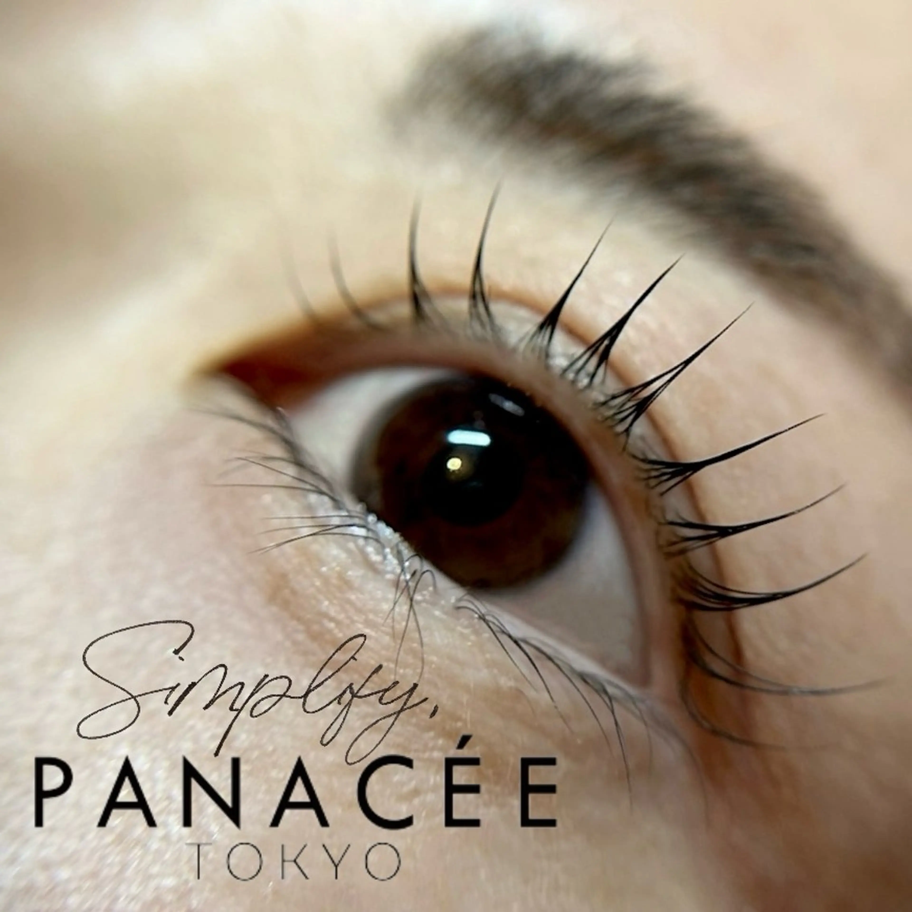 シンプリフィラッシュリフトの写真