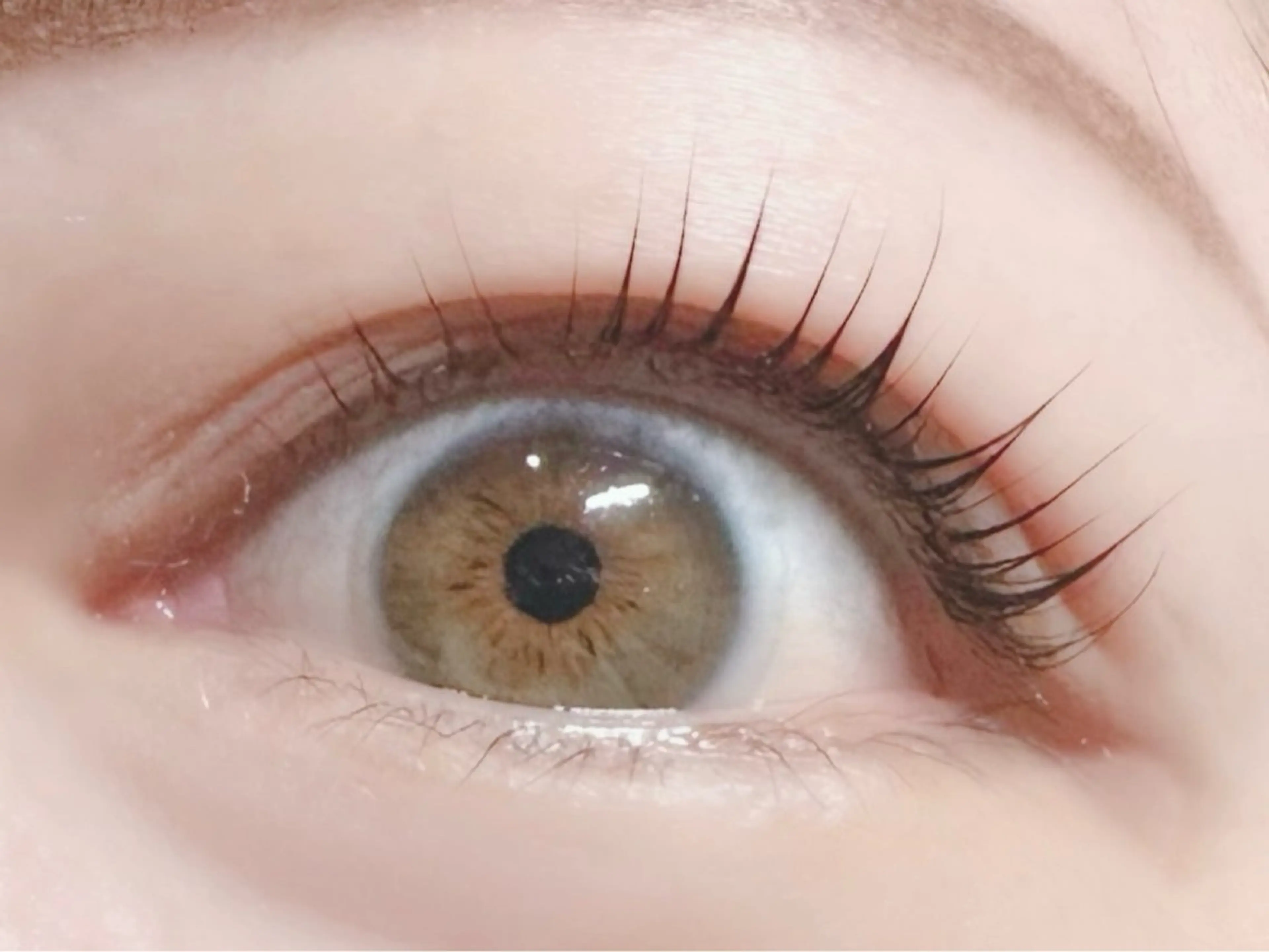 マツエク・マツパ ナチュラル まつげパーマ マツパ Emii Eyelash大通店所属・Emii Eyelash大通のマツエク・マツパデザイン